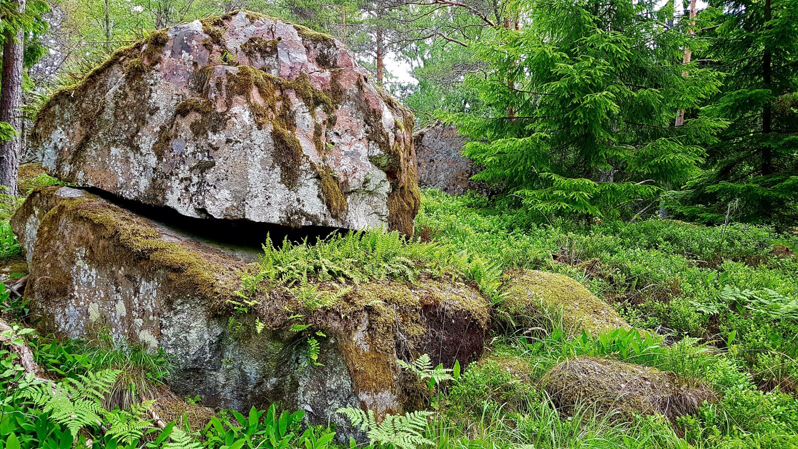 Samsung Galaxy S7 sample photo. Stone, forest, nature photography