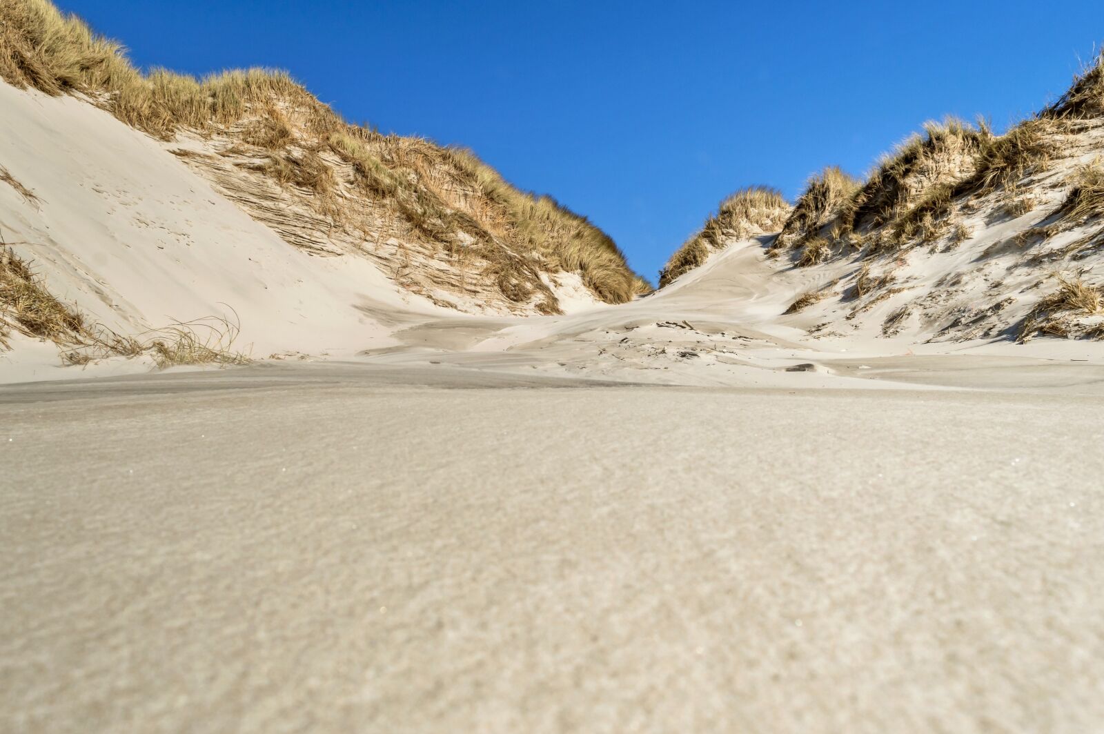Nikon D3200 sample photo. Dune landscape, sand, dune photography