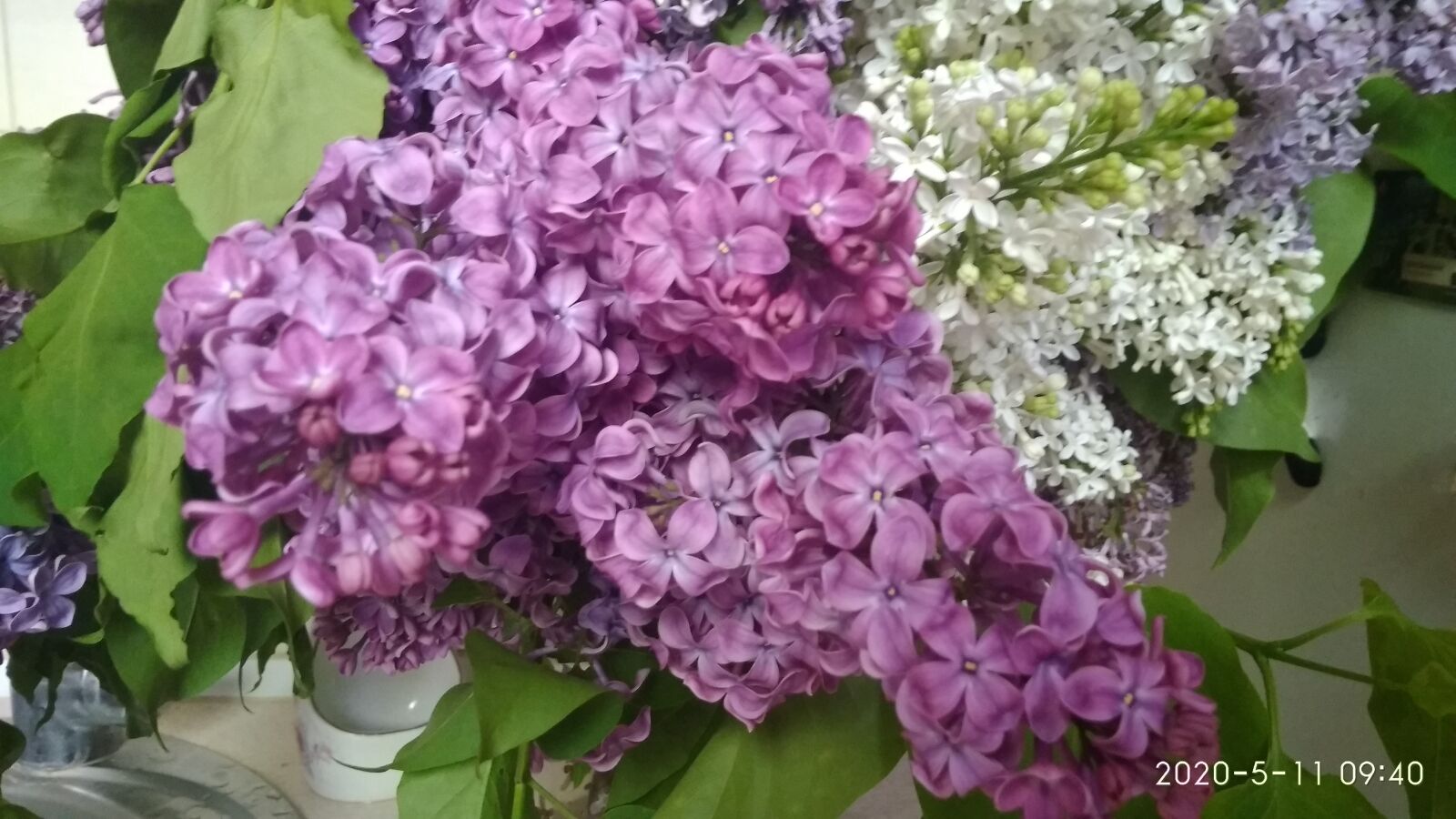 Xiaomi Redmi 4A sample photo. Spring, lilac, flowers photography