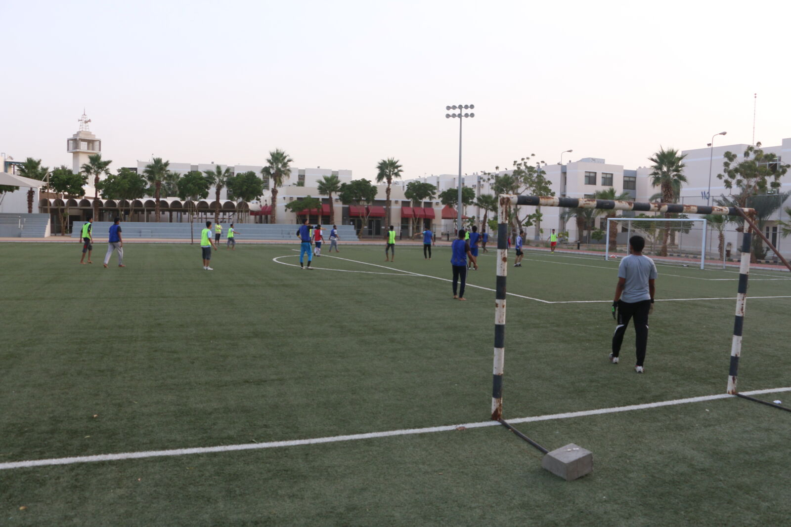 Canon EOS 70D sample photo