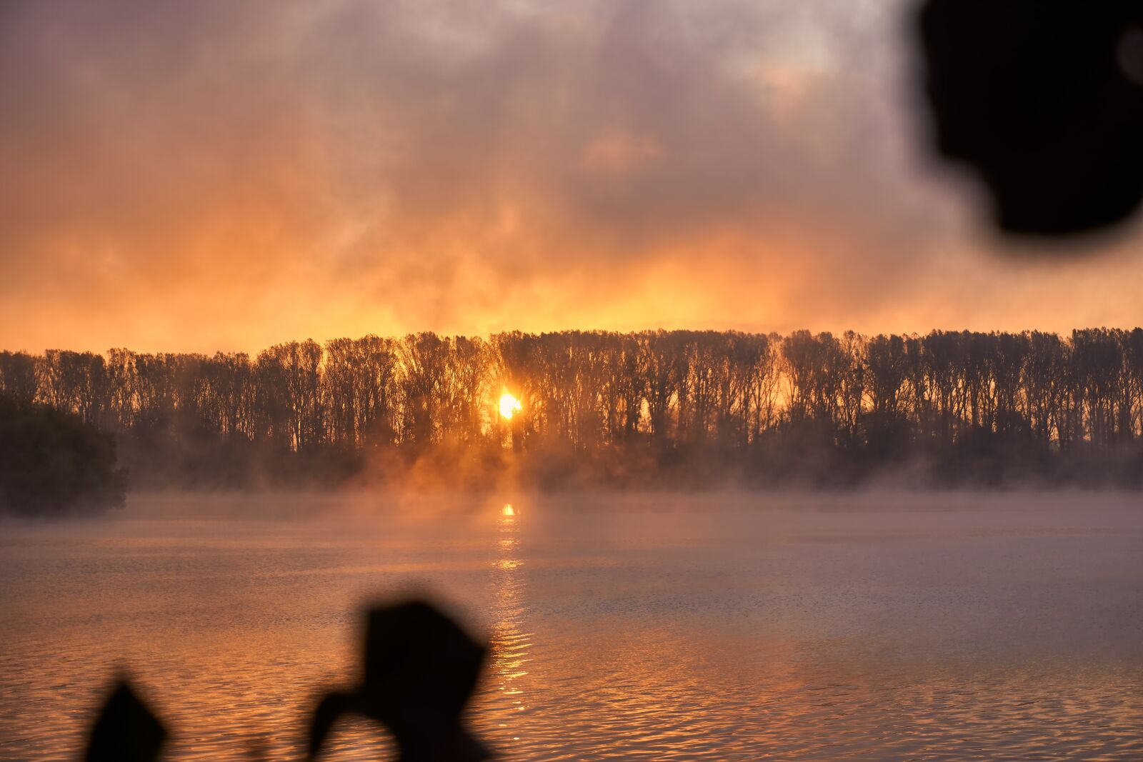 Sony a6400 sample photo. Sunrise, fog, mood photography