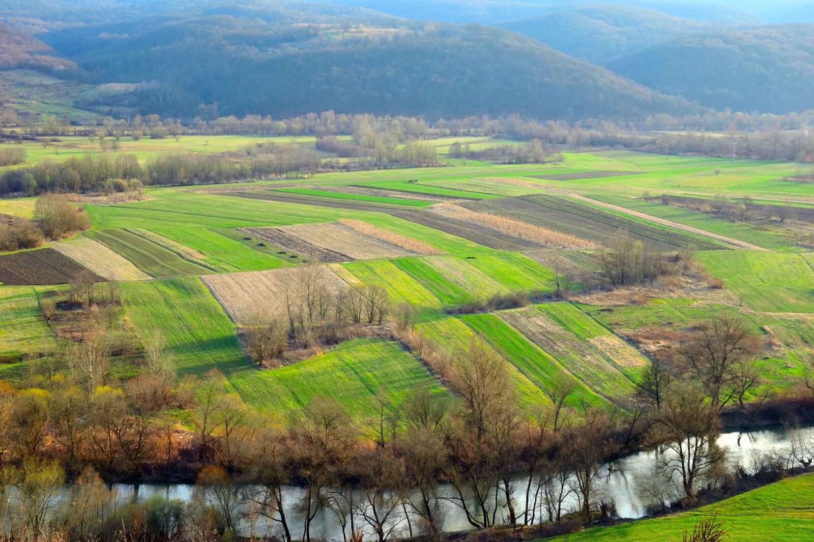 Nikon D5300 sample photo. Landscape, field, agriculture photography