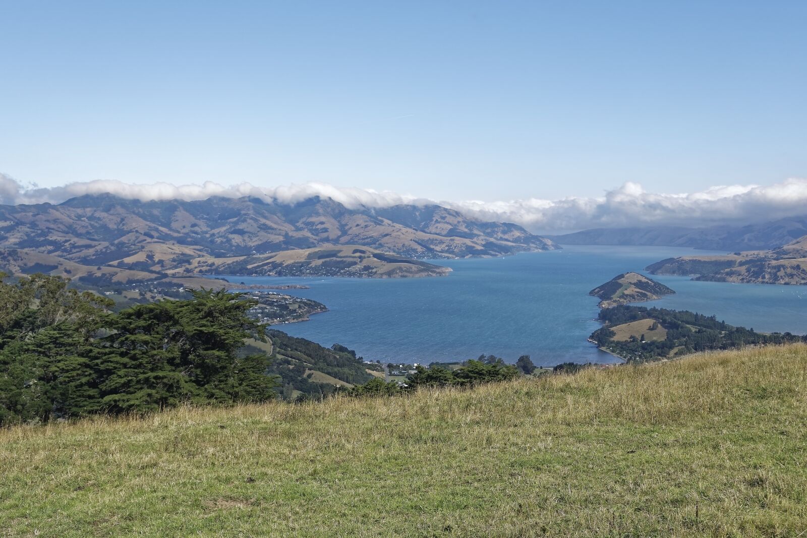 Nikon D500 sample photo. New zealand, banks peninsula photography