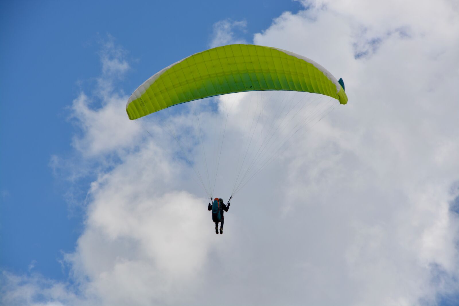 Nikon D5200 sample photo. Paragliding, paraglider, veil yellow photography