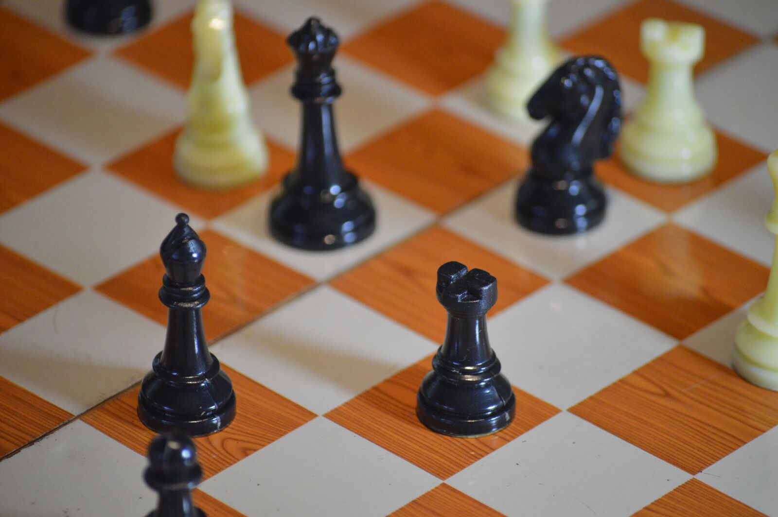Nikon D3200 sample photo. Game, king, piece photography