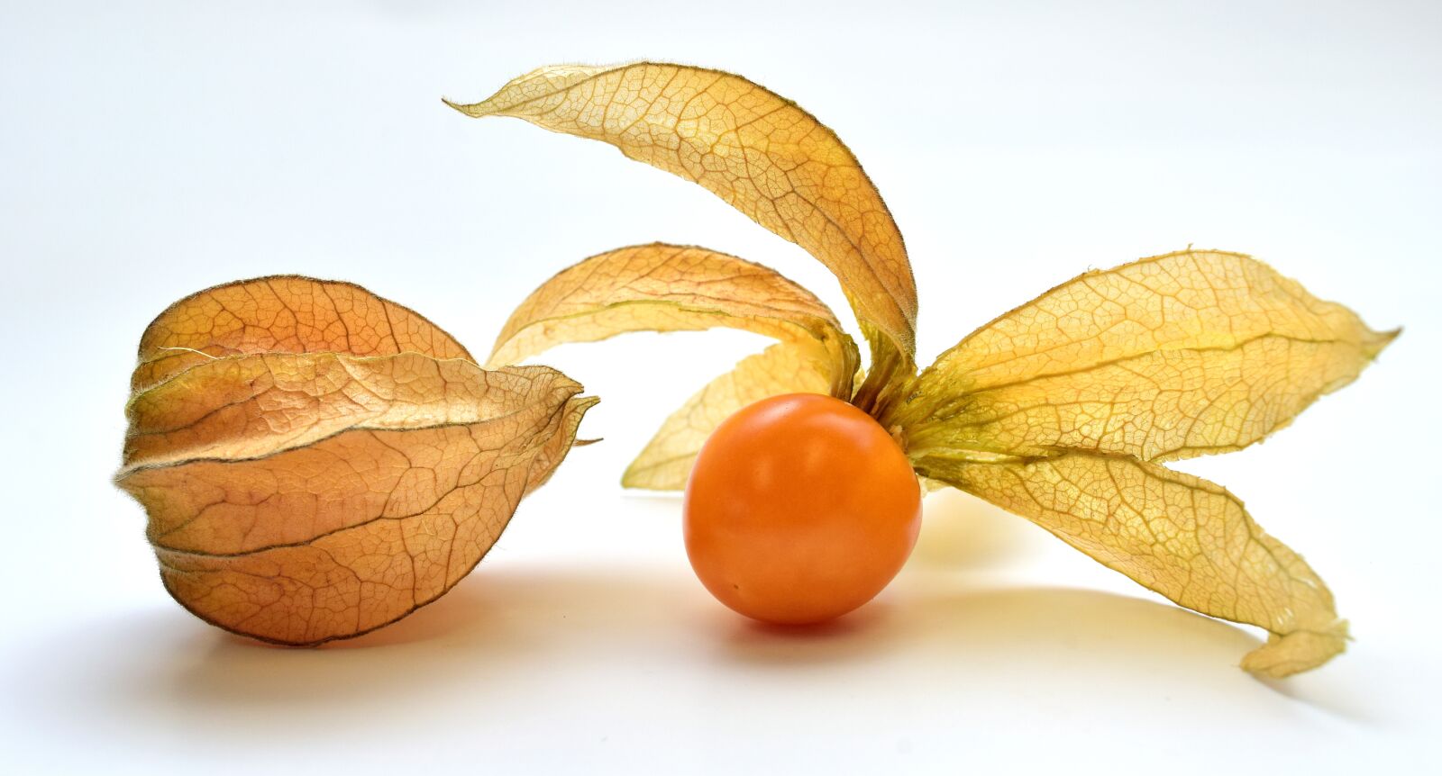 Nikon D3300 sample photo. Physalis, fruit, berry photography