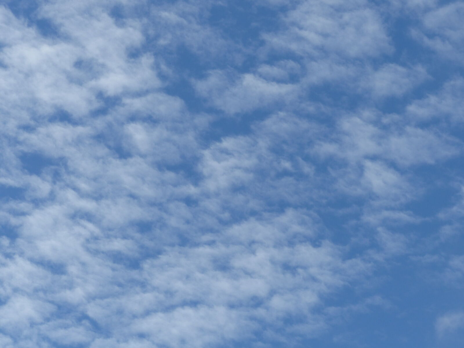 Panasonic Lumix DMC-FZ200 sample photo. Blue, blue, sky, cloudy photography