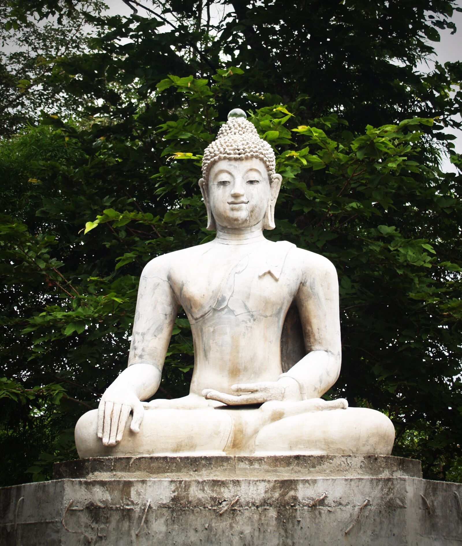 Olympus E-300 (EVOLT E-300) sample photo. Buddha, india, mind photography
