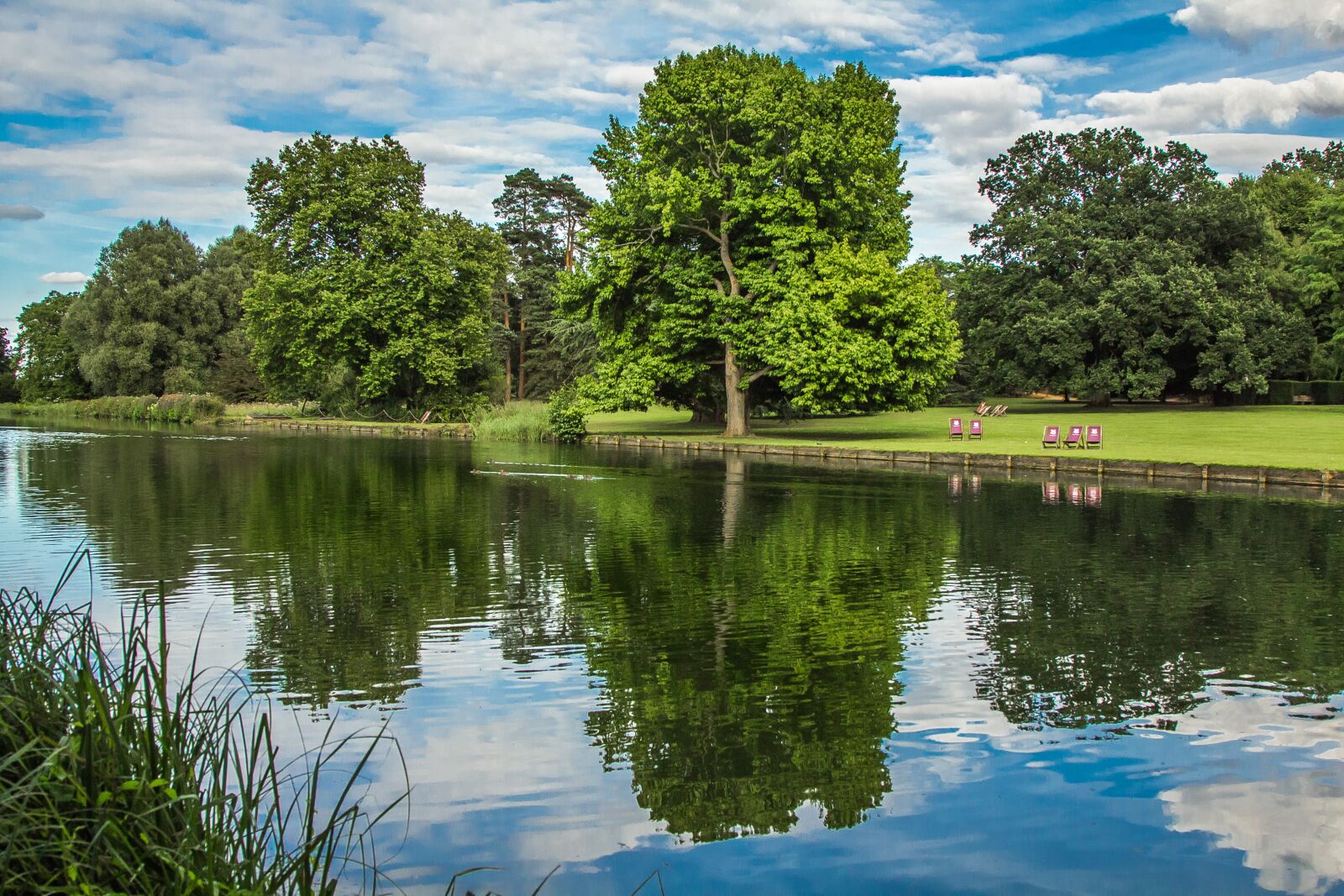 Canon EOS 60D + Canon EF 24-105mm F4L IS USM sample photo. Trees, lake, reflection photography