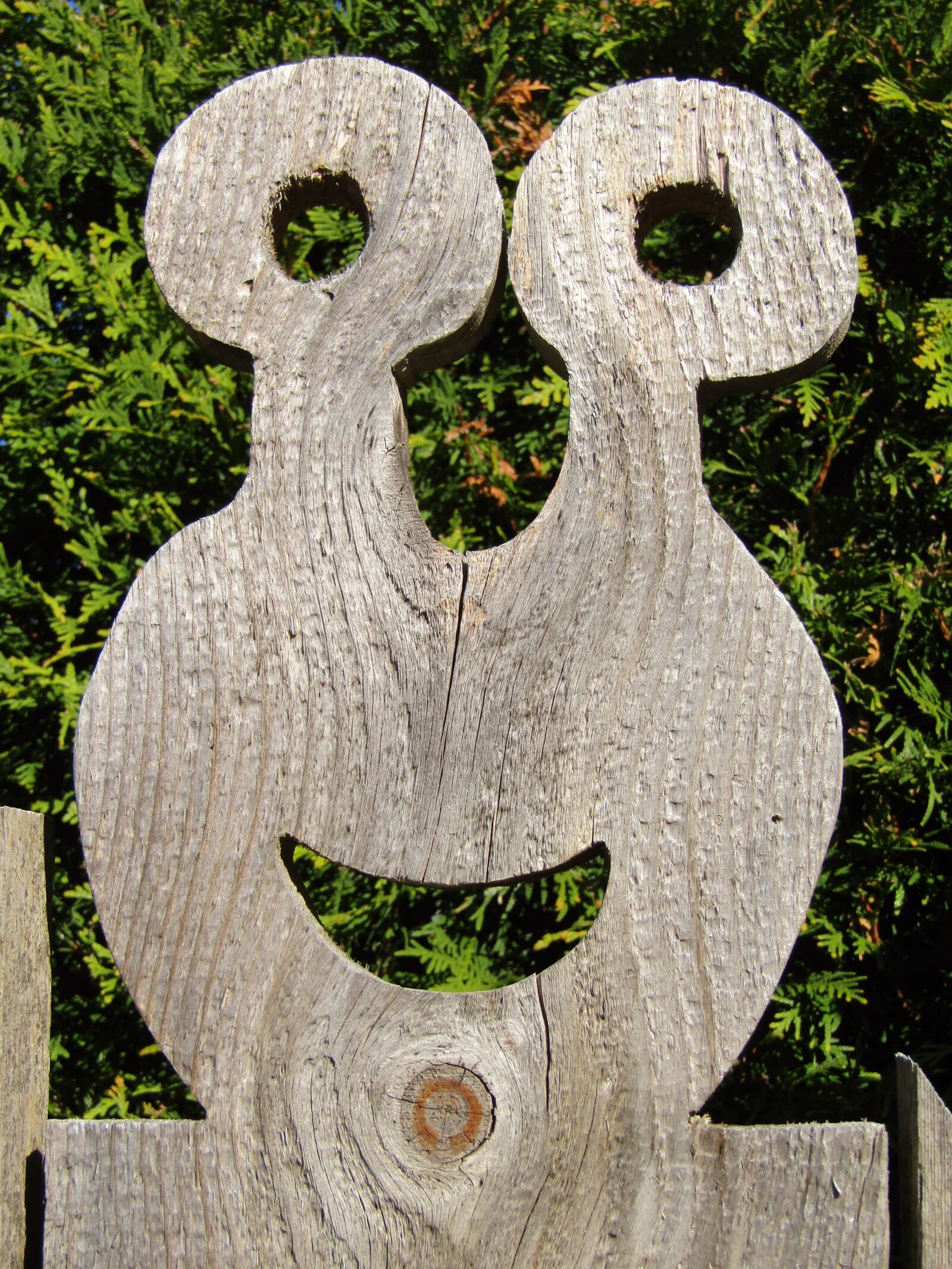 Canon POWERSHOT SX432 IS sample photo. Frog, garden fence, fence photography