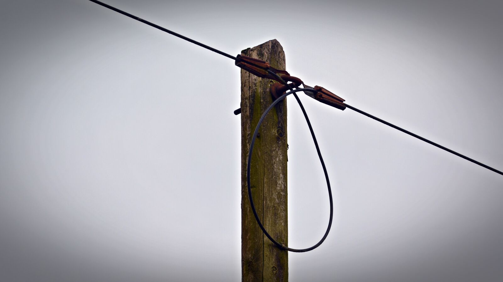 Nikon D5200 sample photo. Telephone pole, wire, cable photography