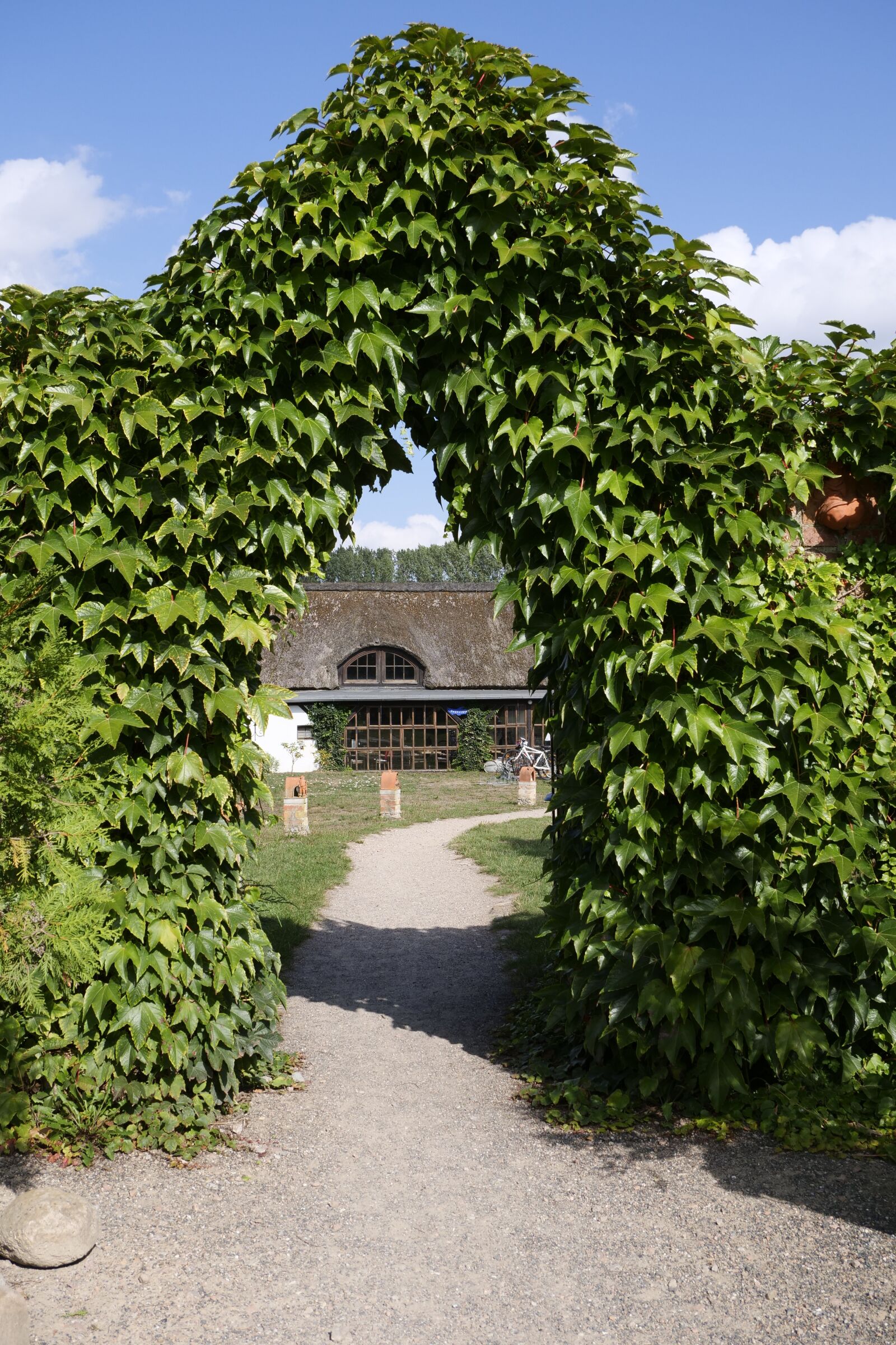 Panasonic Lumix DC-G9 sample photo. Nature, hedge, goal photography