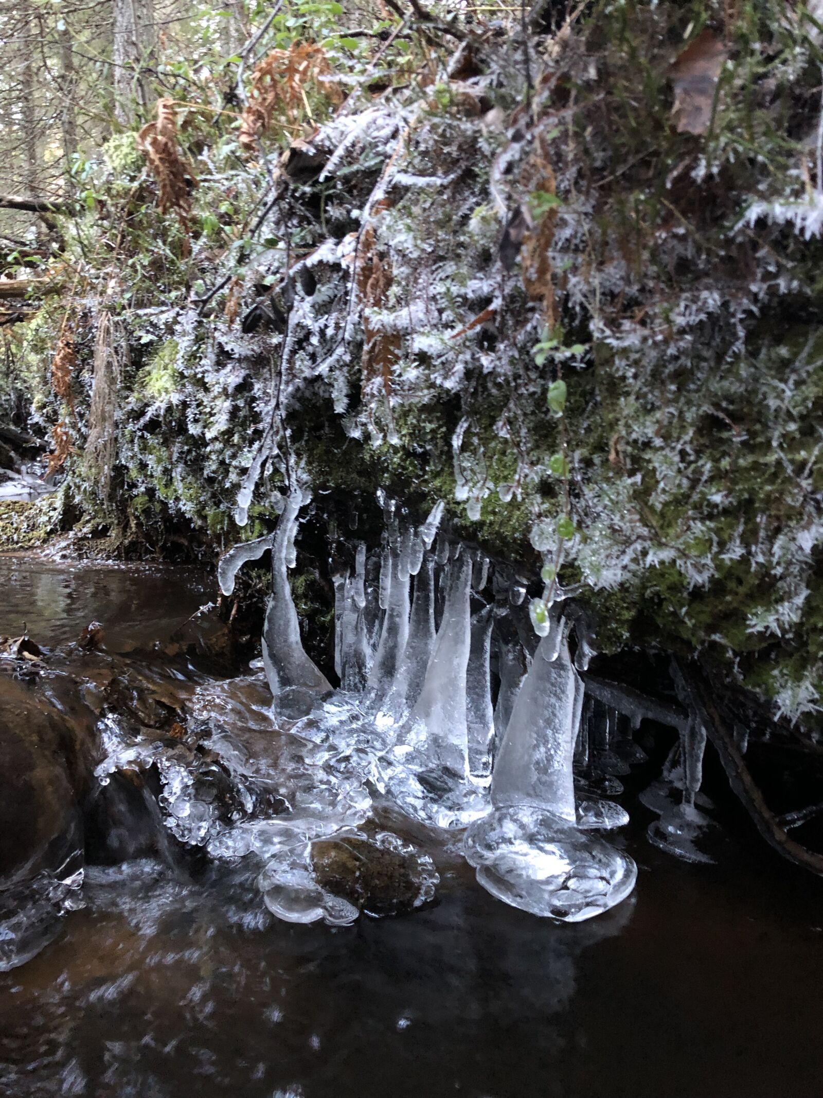 iPhone X back dual camera 4mm f/1.8 sample photo. Icicle, moss, water photography