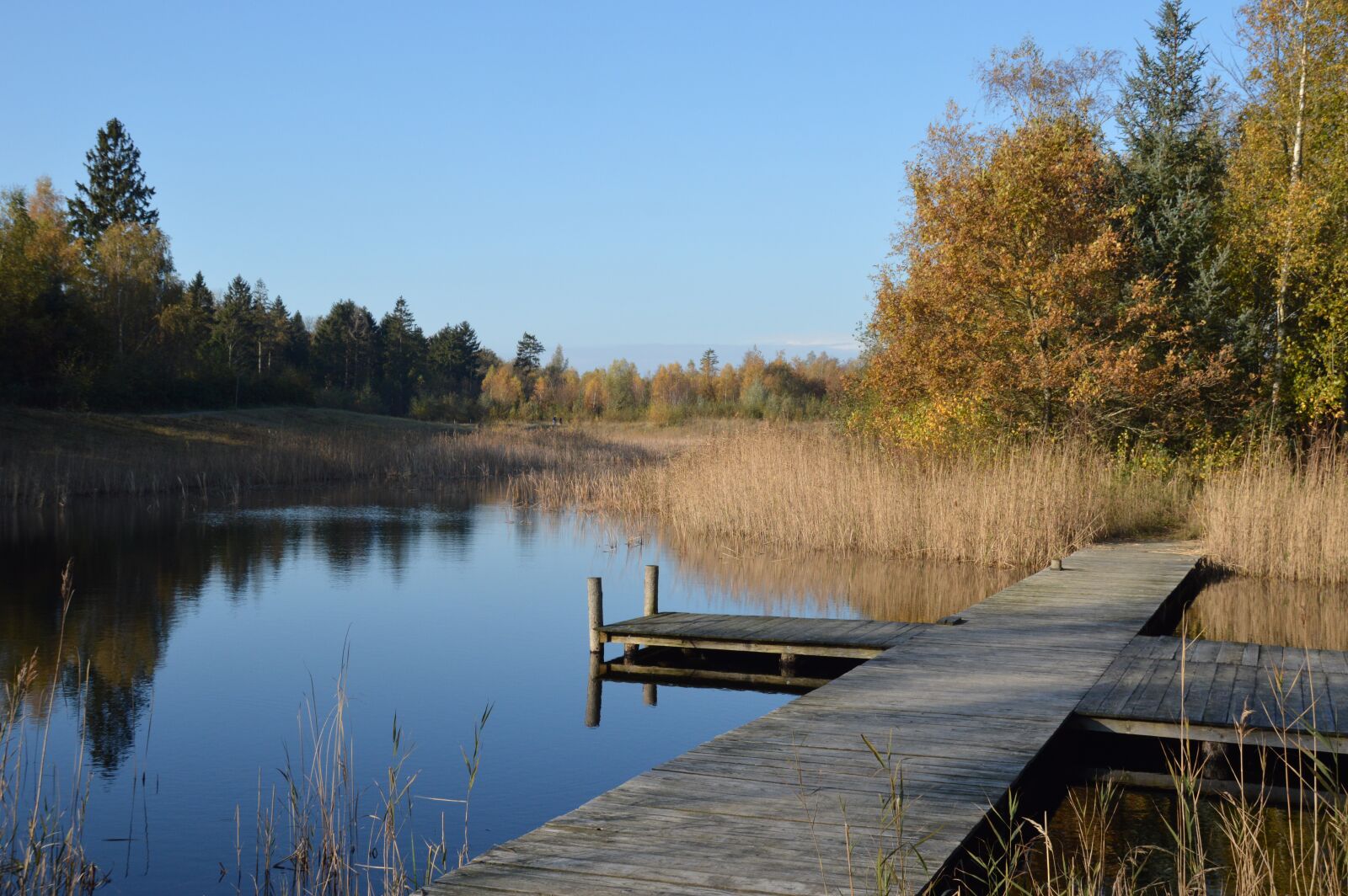 Nikon D3200 sample photo. Autumn, water, landscape photography