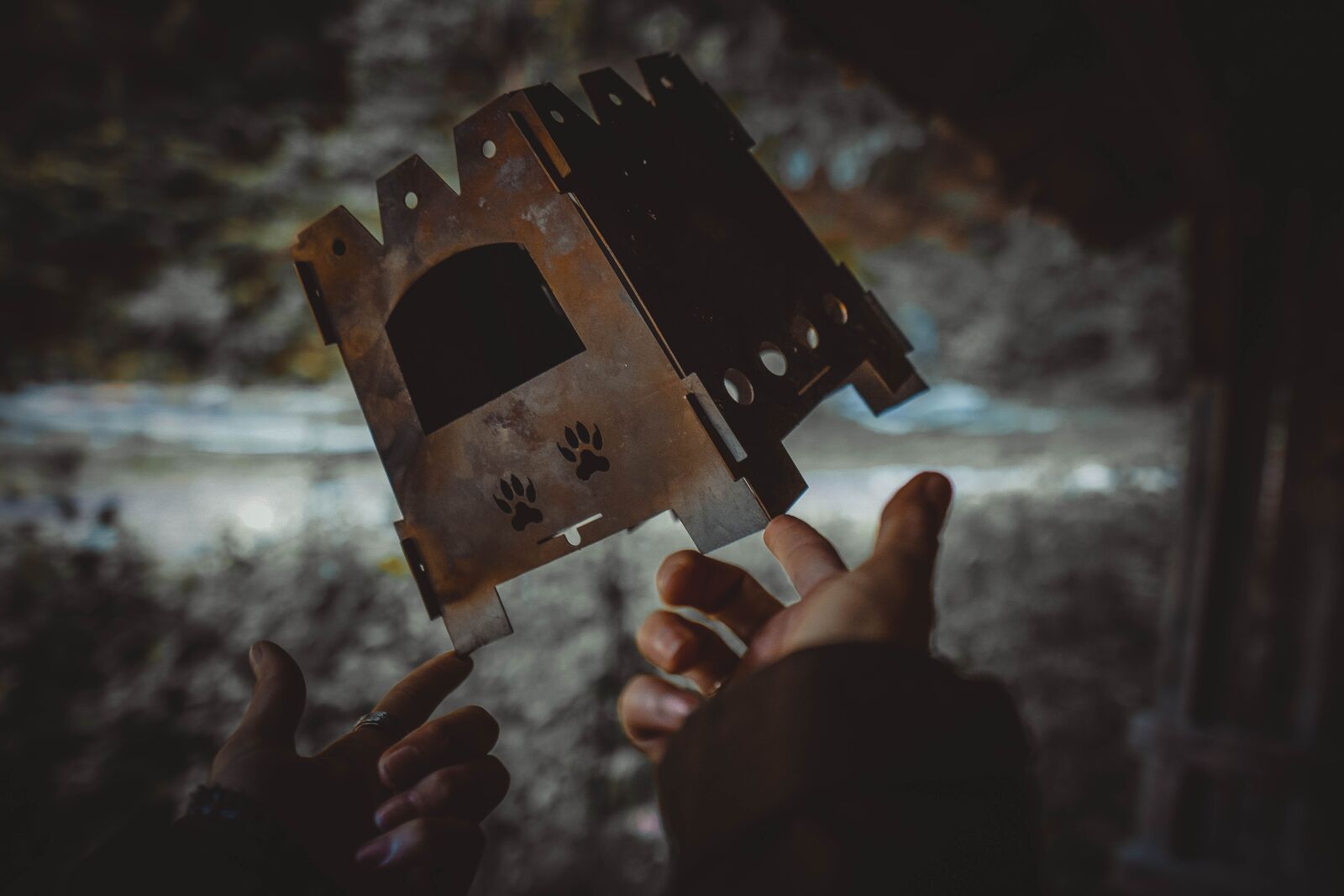 Sony a6400 + Sigma 16mm F1.4 DC DN | C sample photo. Forest, blade, outdoor photography