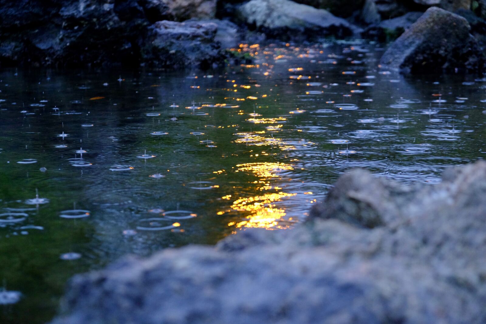 Fujifilm X-T10 sample photo. Rain, water colure, pond photography