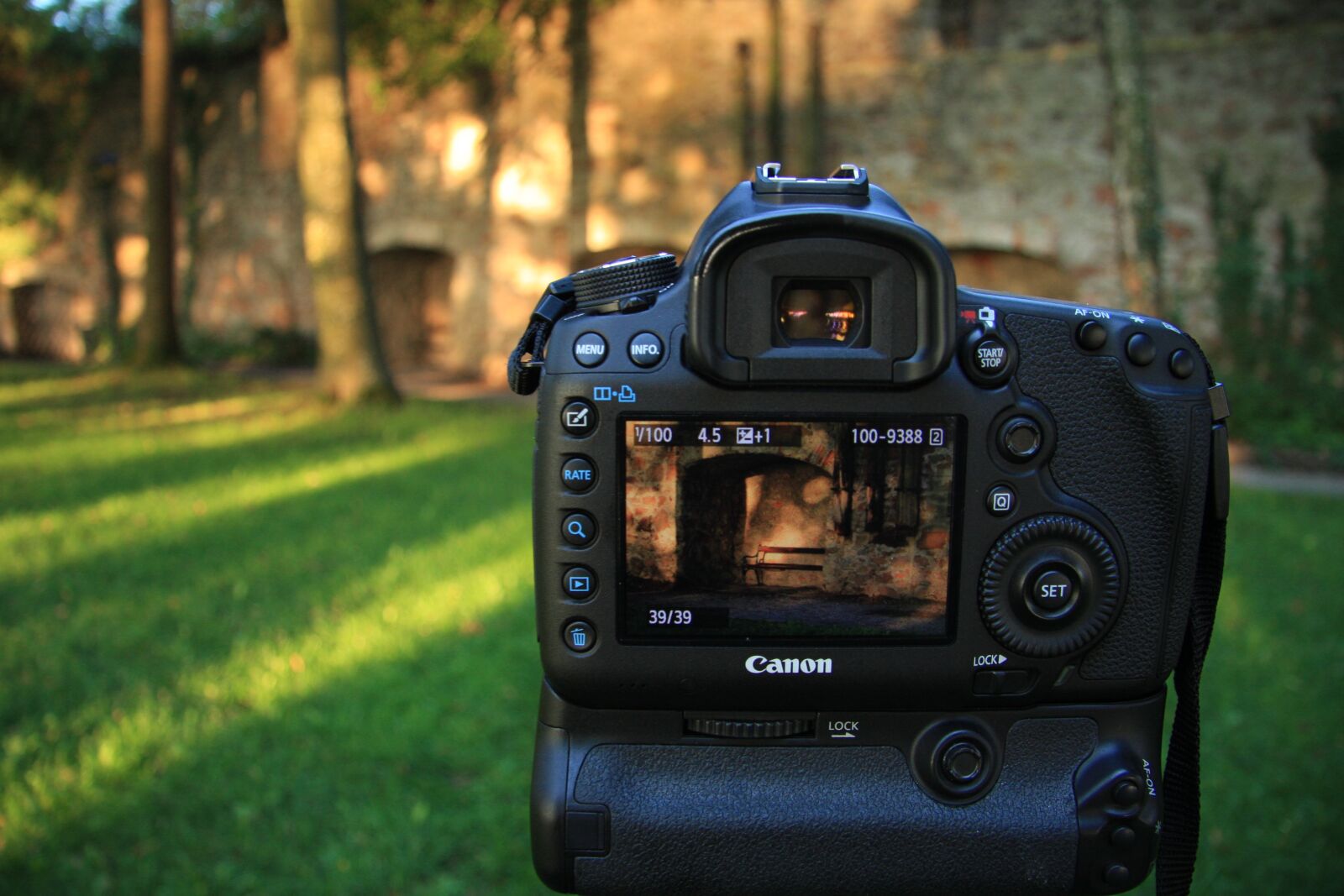 Canon EOS 40D sample photo. Image, camera, photography photography