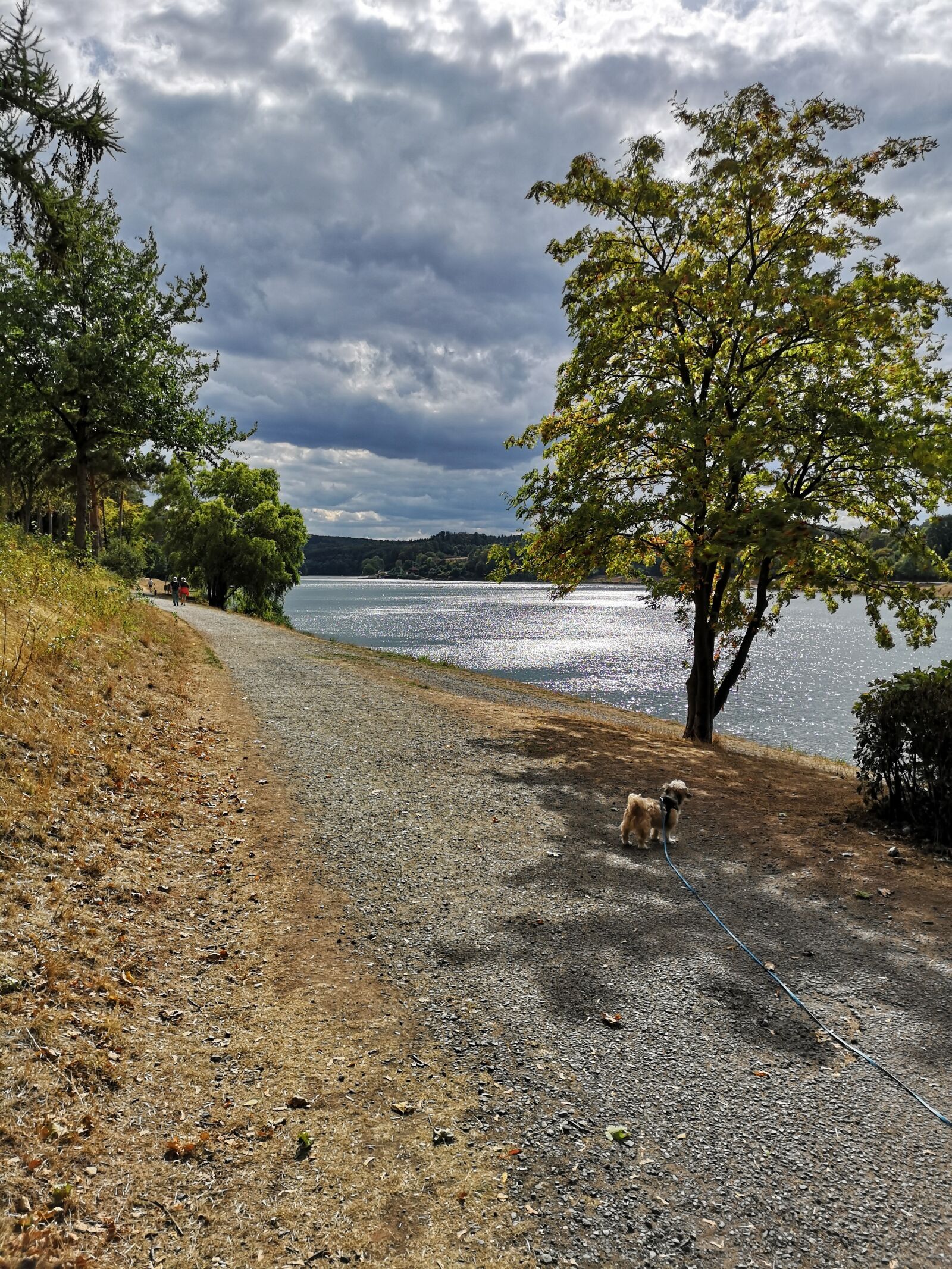 HUAWEI CLT-L29 sample photo. Twist the reservoir, bad-arolsen photography