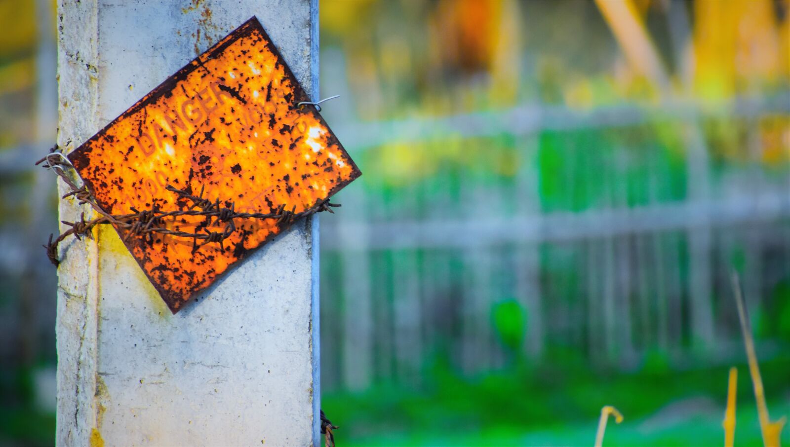 Nikon D5600 sample photo. Outdoors, nature, danger photography