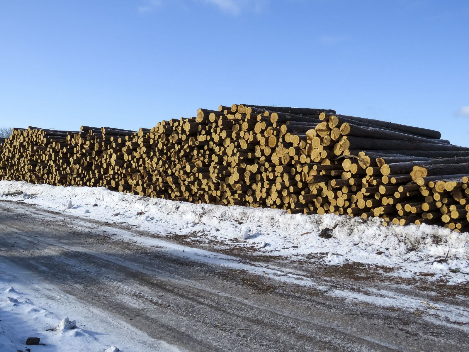 Canon PowerShot SX60 HS sample photo. Logs, stack, boards photography