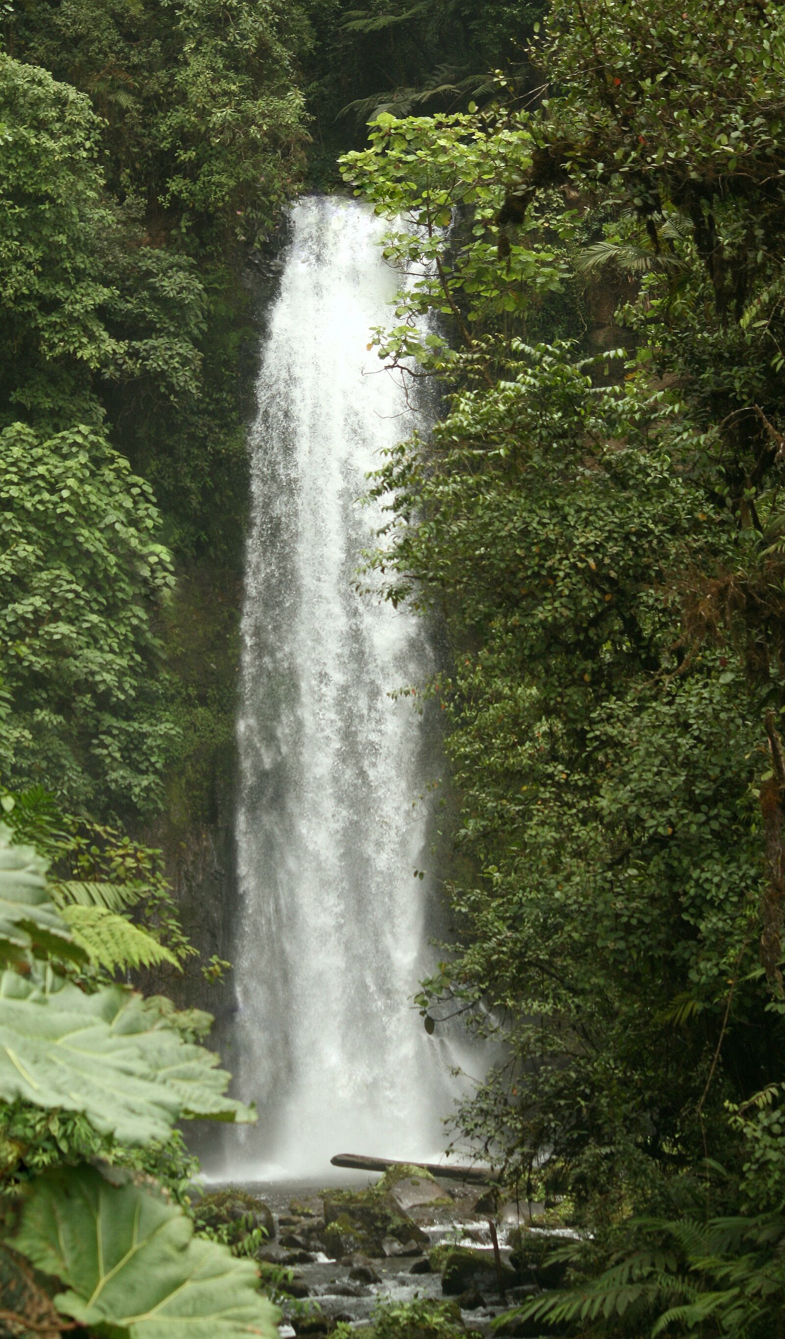 Canon EOS 400D (EOS Digital Rebel XTi / EOS Kiss Digital X) sample photo. Waterfall, tropical, jungle photography