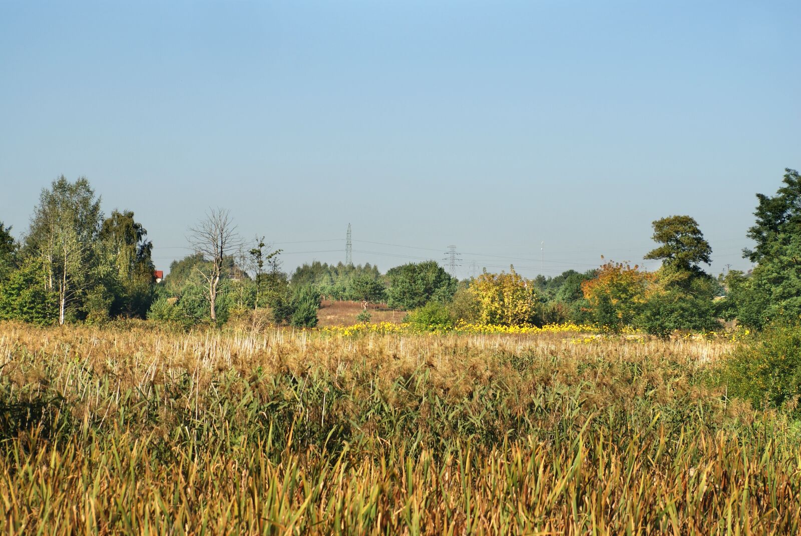 Sony Alpha DSLR-A200 sample photo. Author, skibka, photo photography
