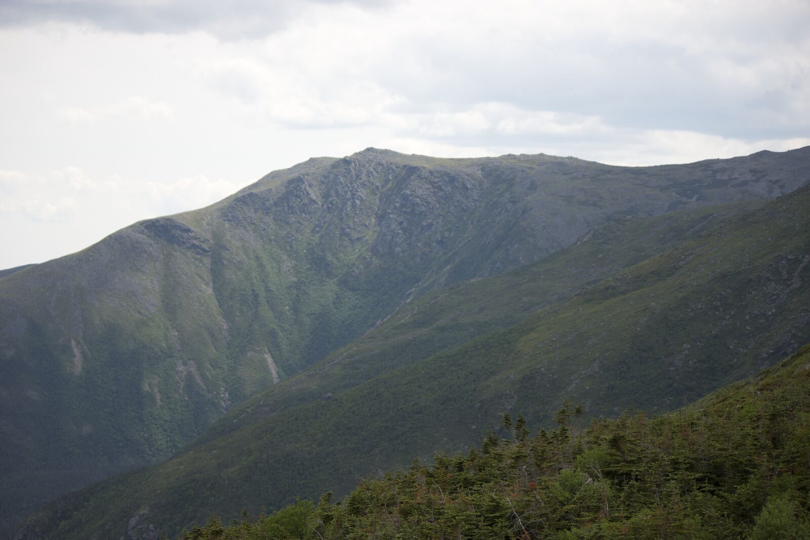 Canon EOS 550D (EOS Rebel T2i / EOS Kiss X4) sample photo. Trees, mountain, nature photography