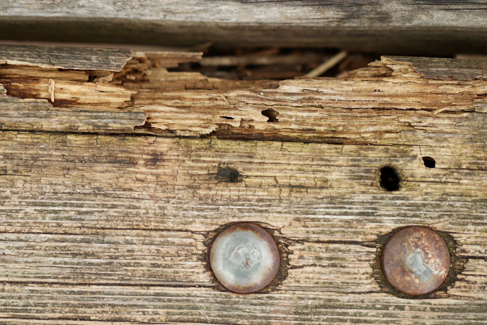 Canon EOS 800D (EOS Rebel T7i / EOS Kiss X9i) sample photo. Wood, structure, weathered photography