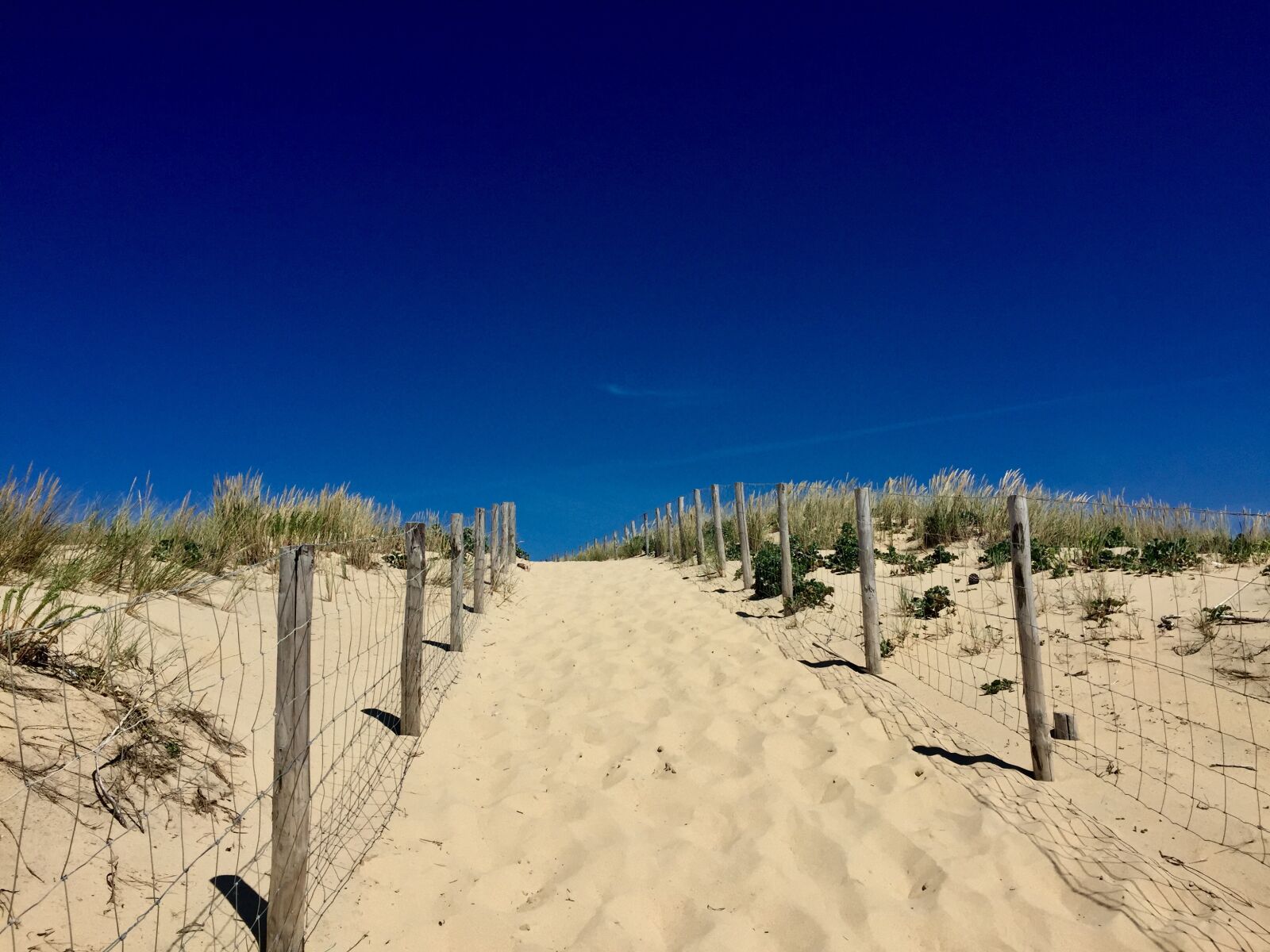 iPhone 6 back camera 4.15mm f/2.2 sample photo. Lège-cap-ferret, france, landscape photography