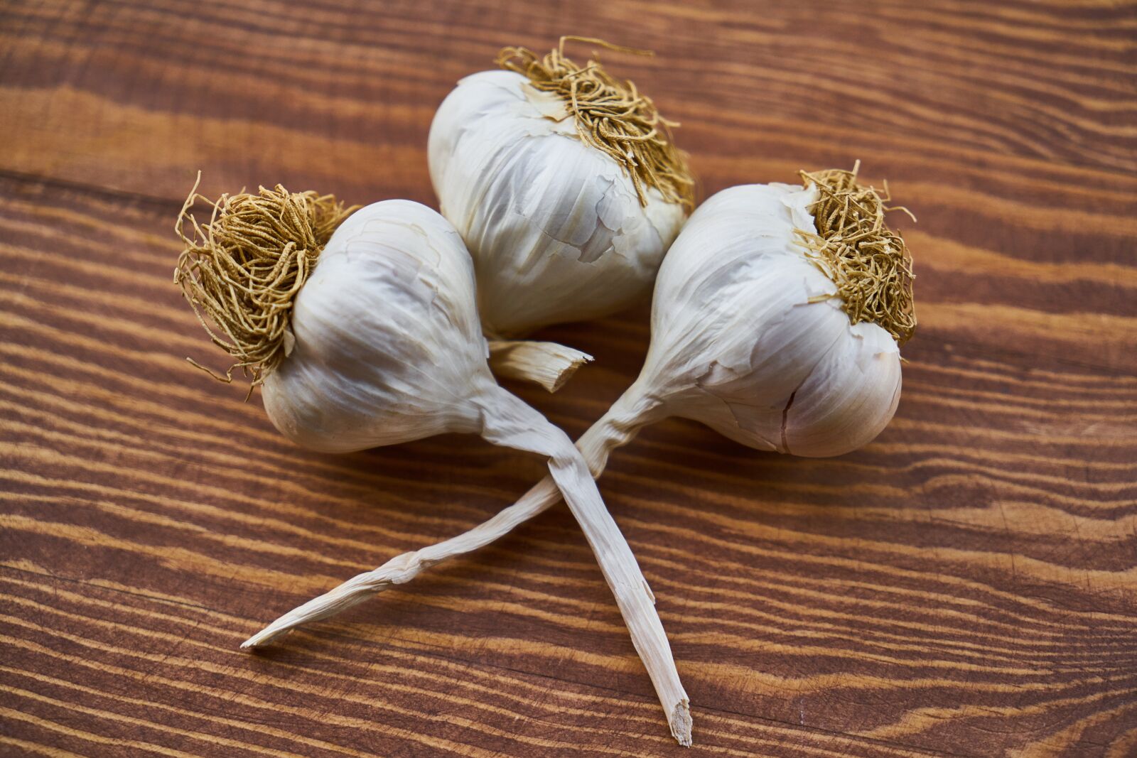 Sony a7R II sample photo. Garlic, white, scented photography