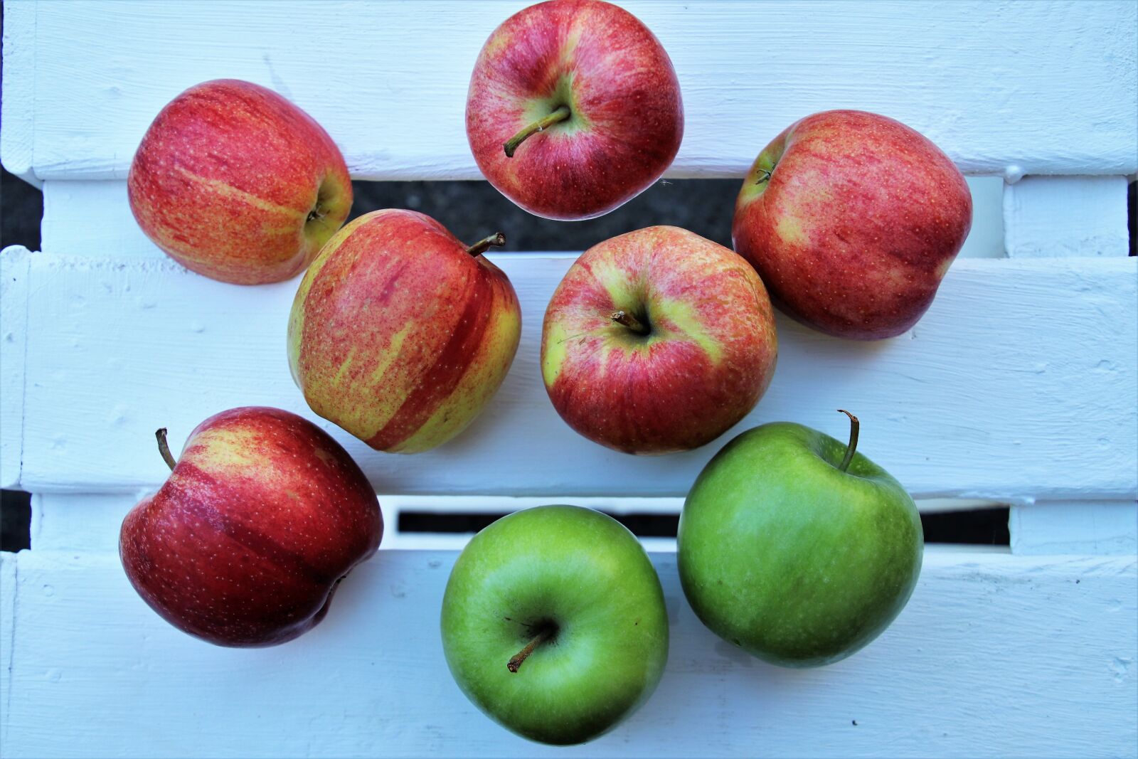 Canon EOS 80D sample photo. Transmission, apples, nutrition photography