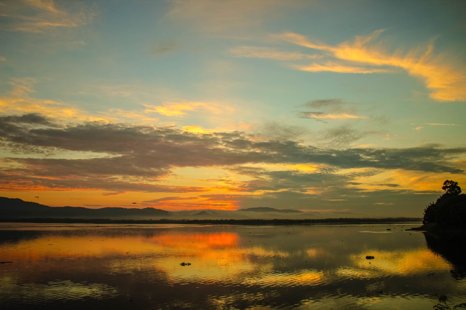 Canon EOS 600D (Rebel EOS T3i / EOS Kiss X5) sample photo. Sky, morning, nature photography