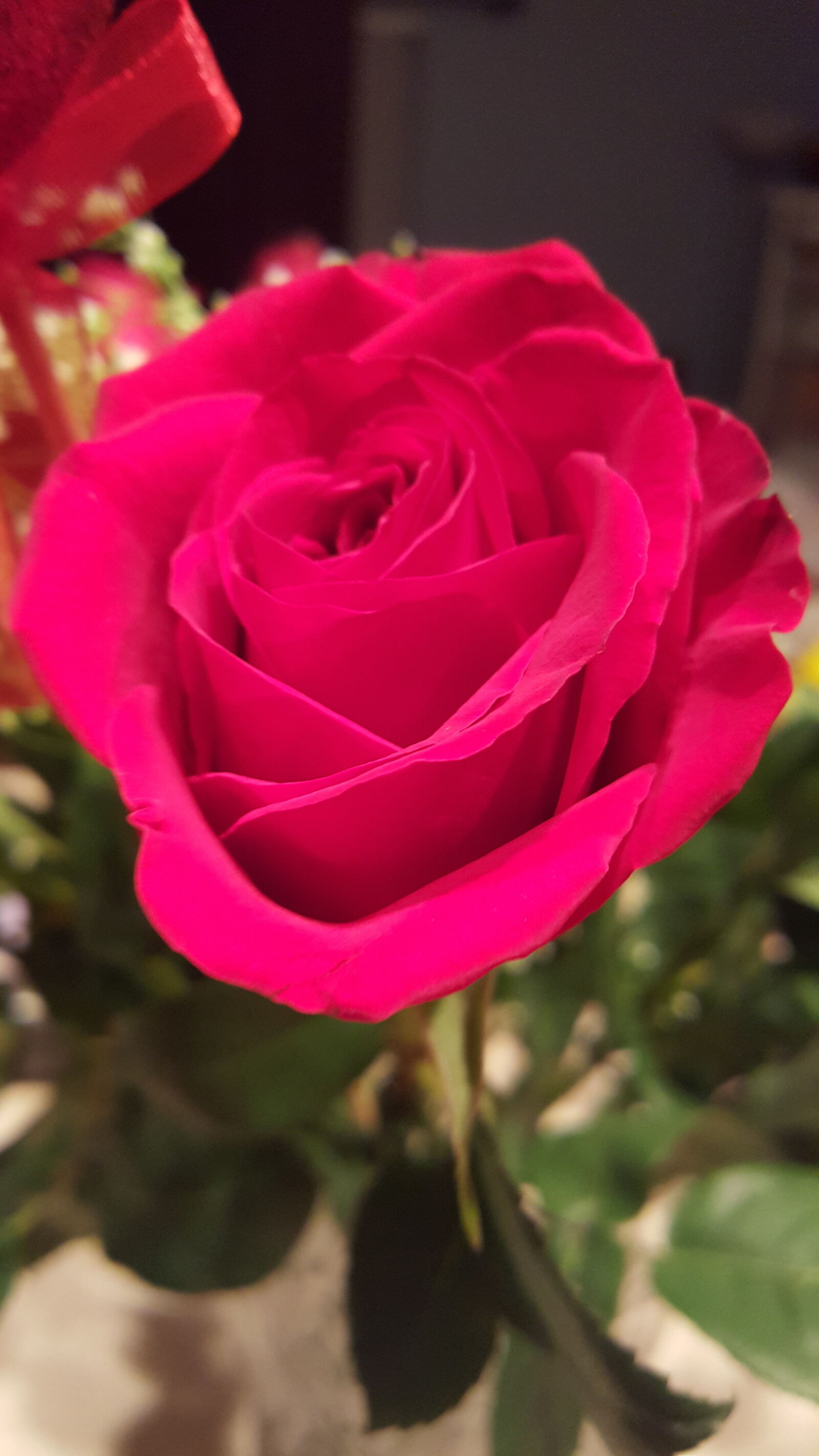 Samsung Galaxy S6 sample photo