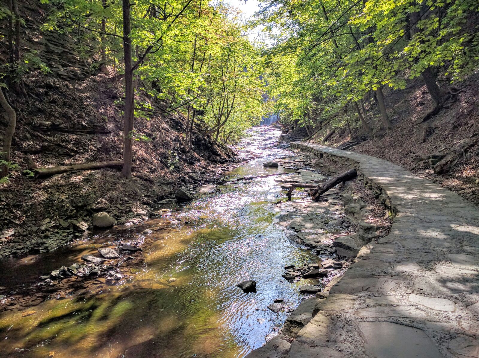 Google Nexus 6P sample photo. Cascadilla, gorge, creek, gorge photography