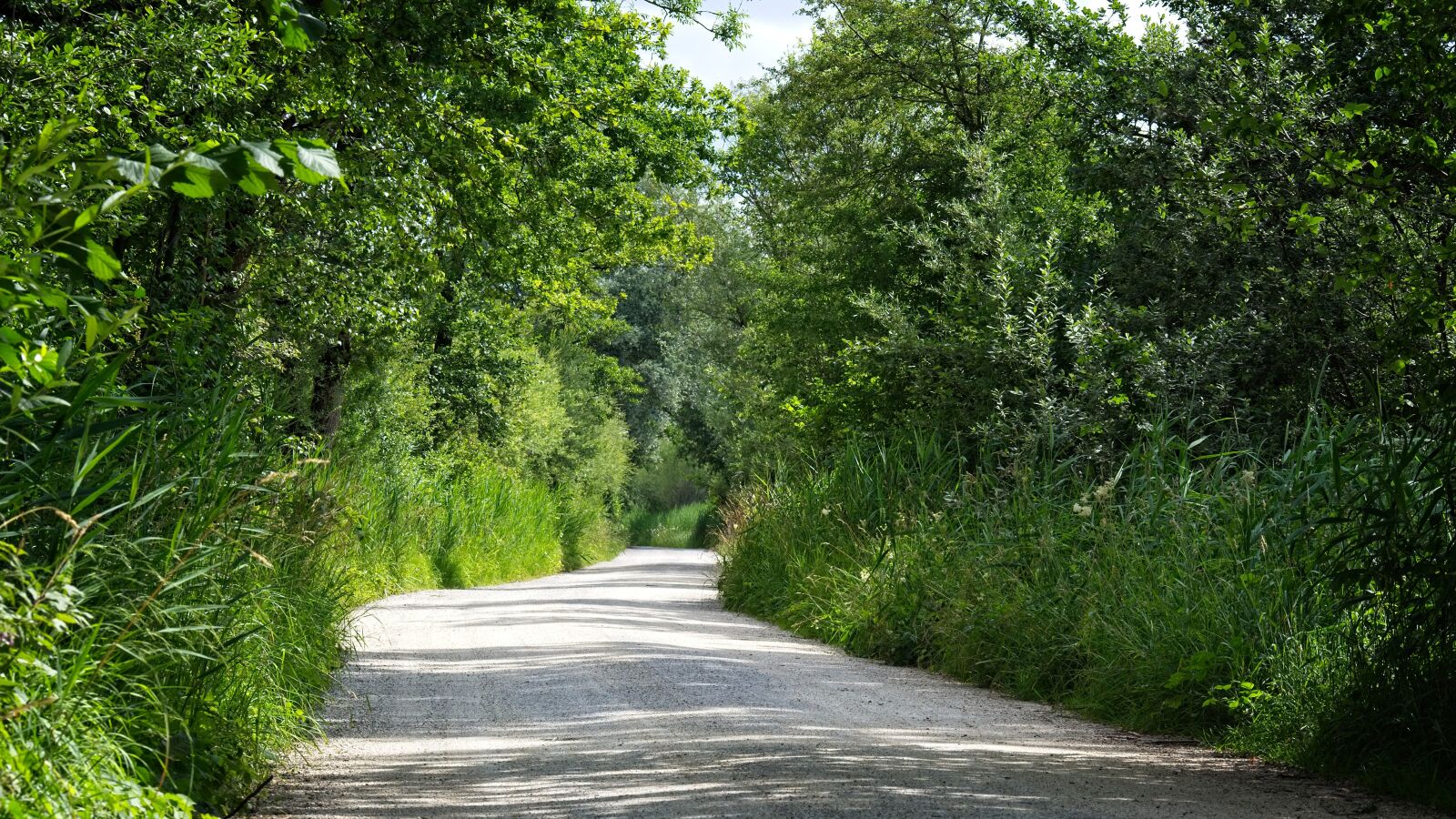 Nikon D7100 sample photo. Nature trail, away, nature photography