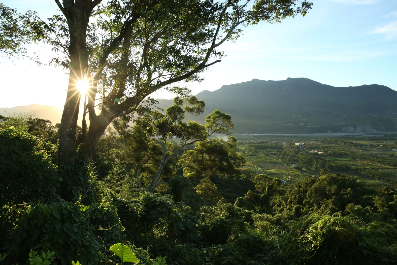 Canon EF 24-105mm F3.5-5.6 IS STM sample photo. Landscape, rural, light photography