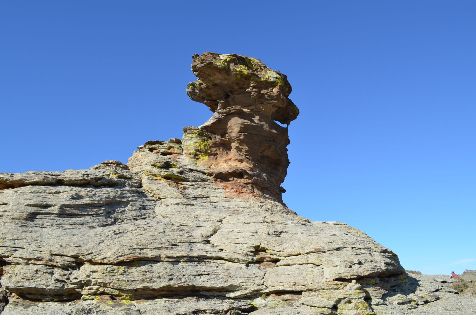 Nikon D5100 sample photo. Field, mongolia photography