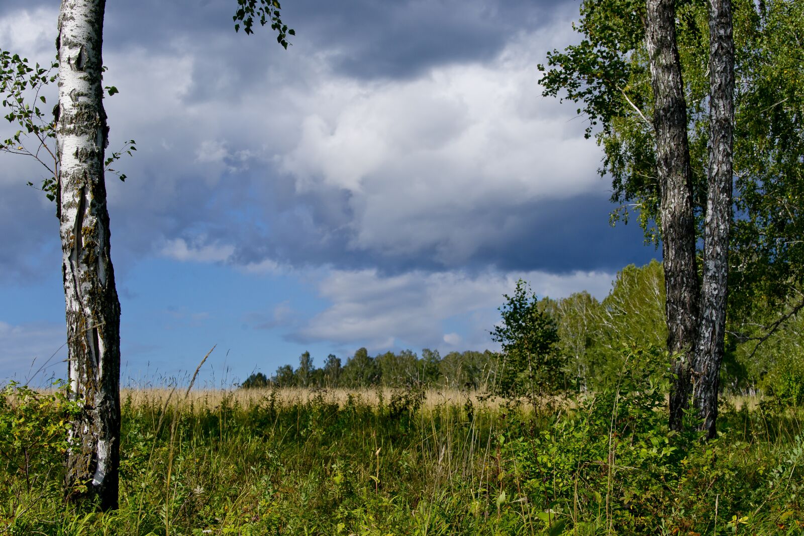 Sony Alpha DSLR-A850 sample photo. Landscape, blue sky, dark photography