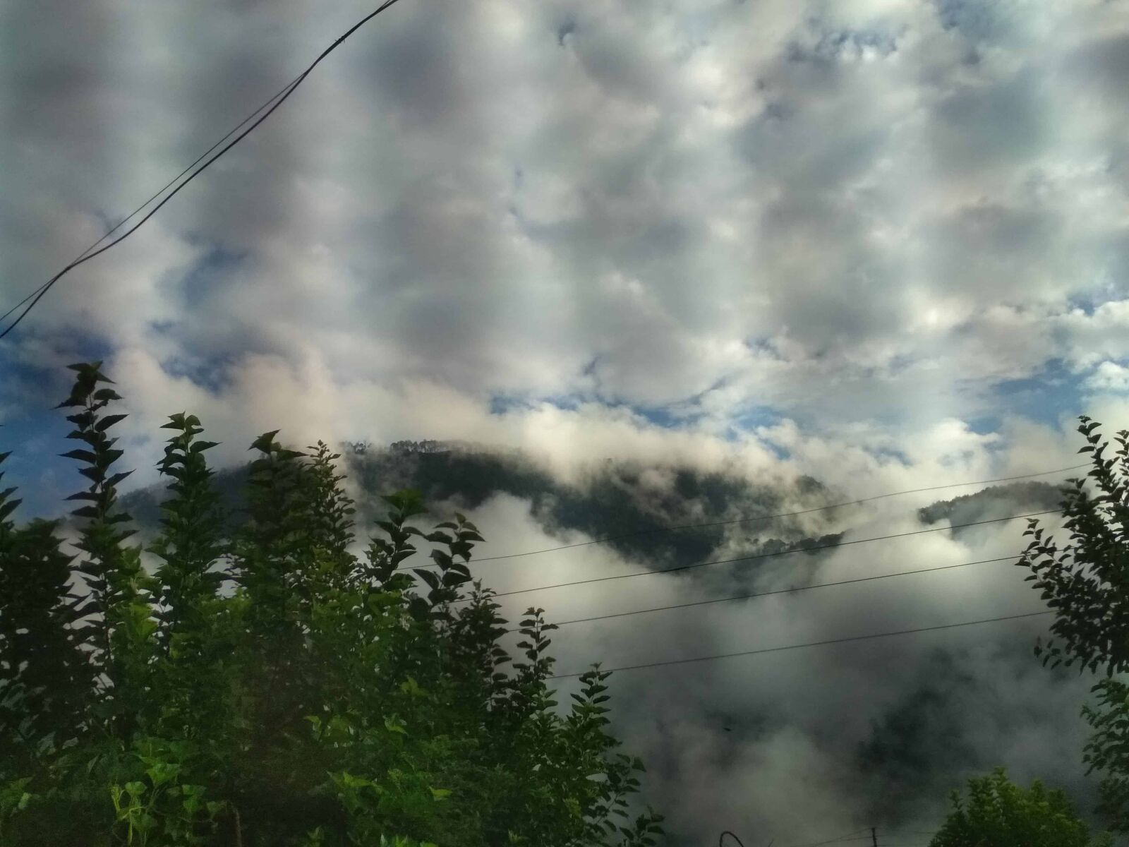 Xiaomi Redmi 4 Pro sample photo. Sky, summer, landscape, tree photography