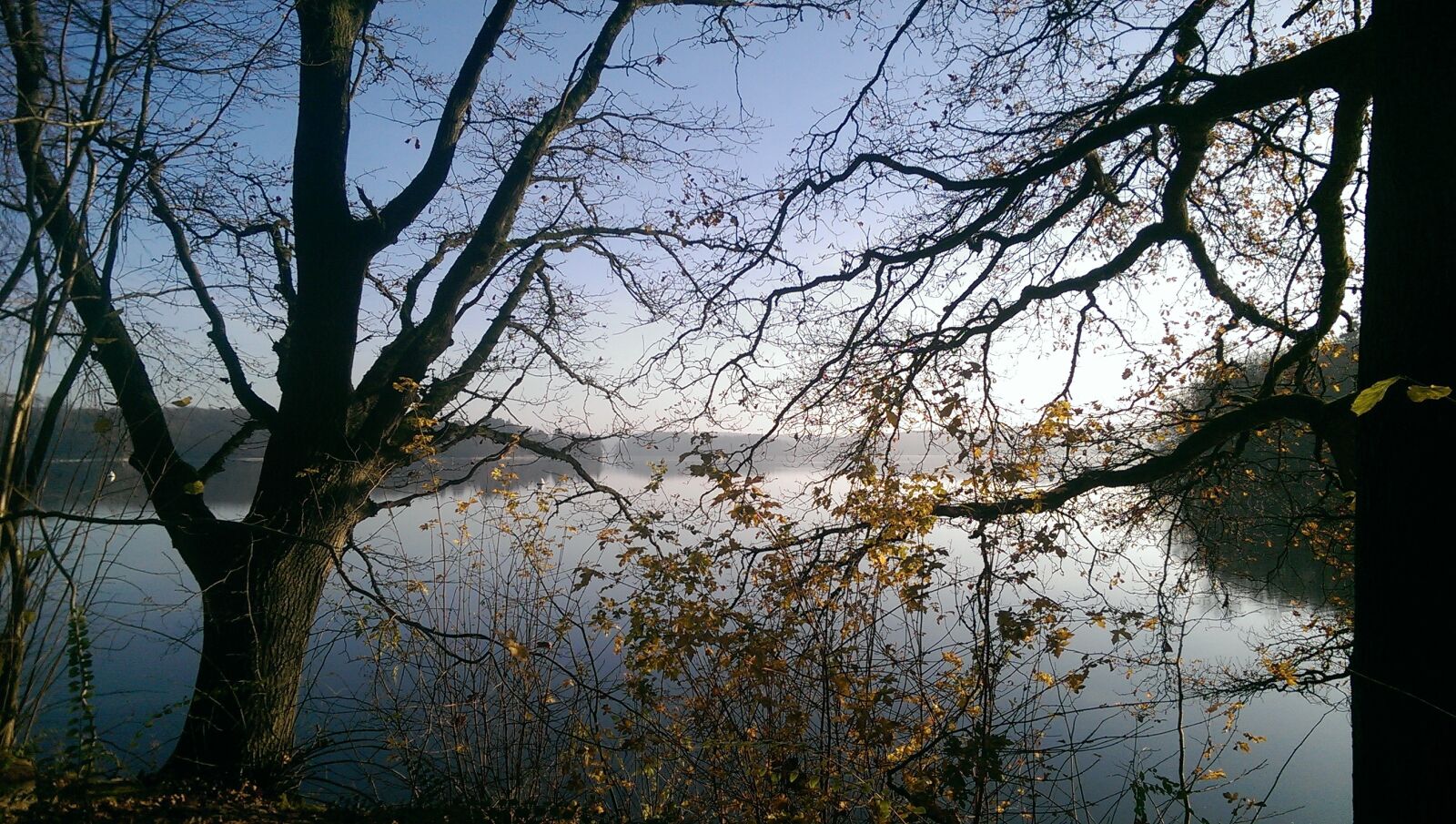 HTC ONE MINI sample photo. Winter, trees, lake photography
