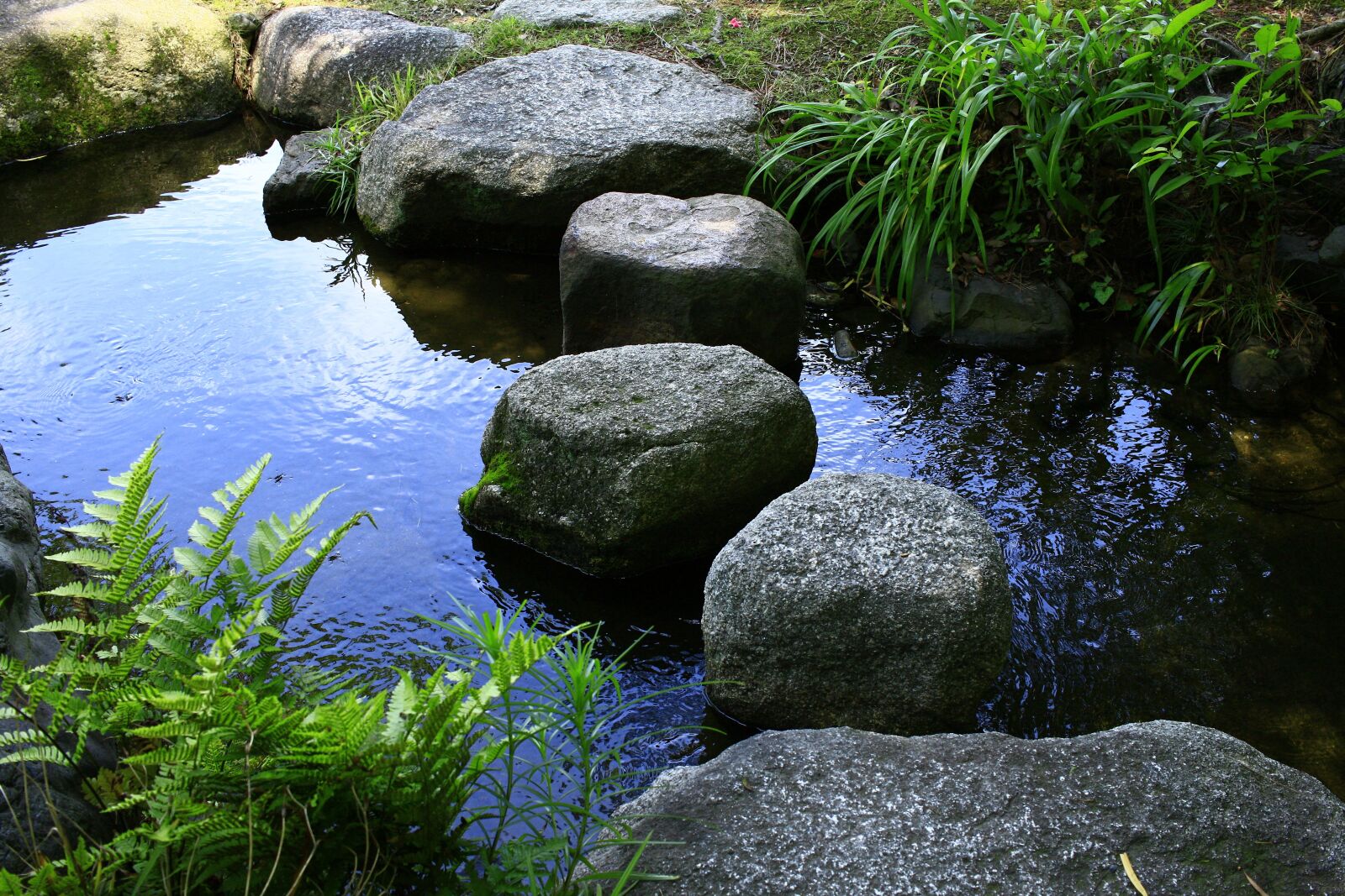 Canon EOS 500D (EOS Rebel T1i / EOS Kiss X3) sample photo. Mie prefecture, triple, kuwana photography