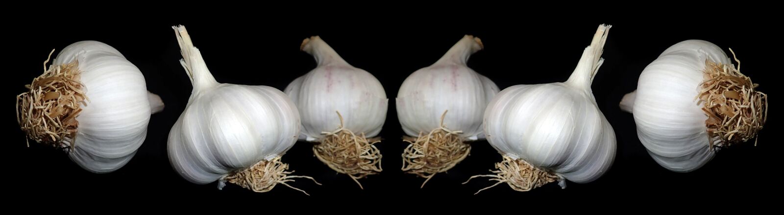 Olympus TG-5 sample photo. Garlic, vegetable, food photography