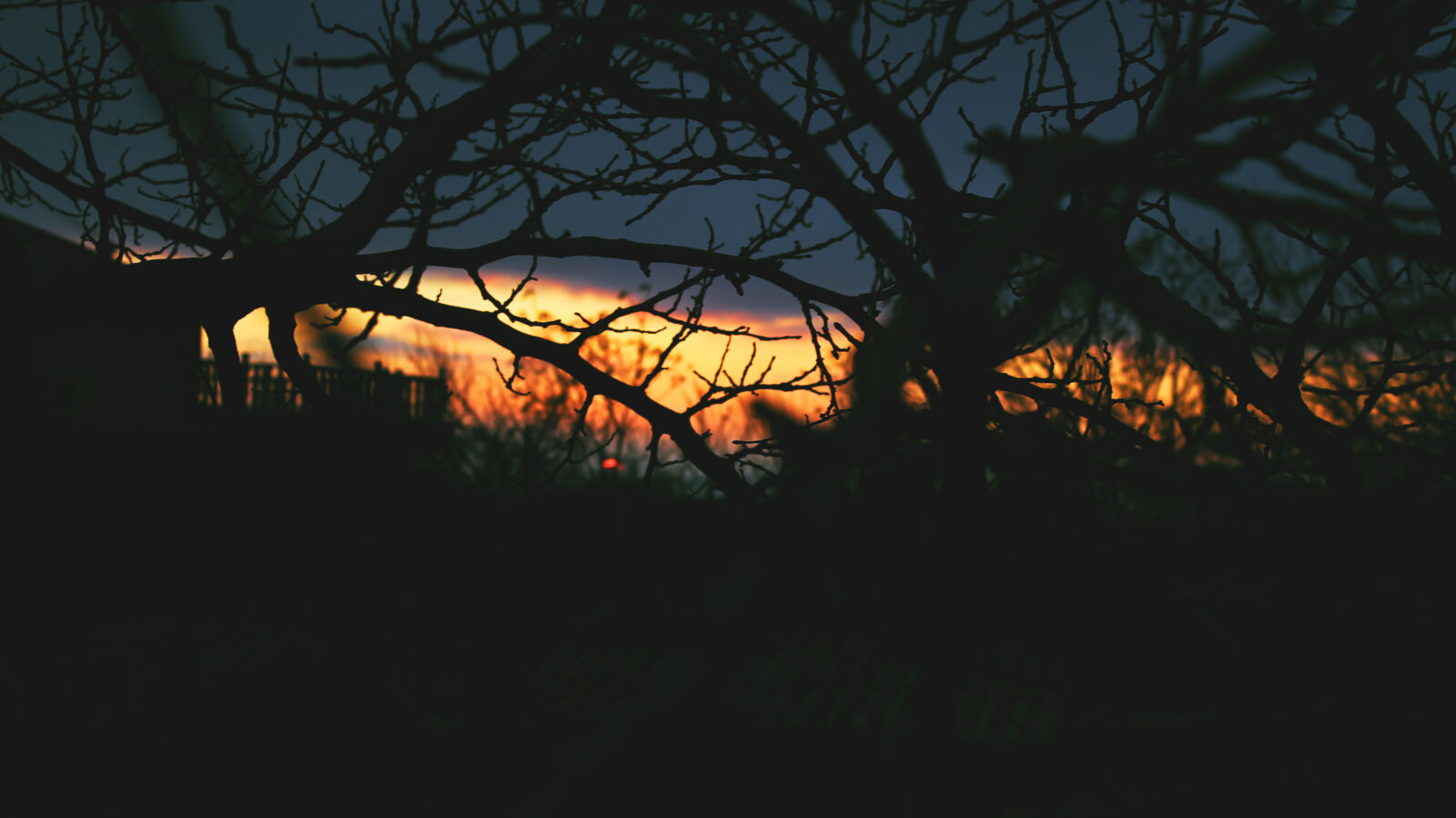 Canon EOS 600D (Rebel EOS T3i / EOS Kiss X5) sample photo. Backlit, branch, clouds, dark photography