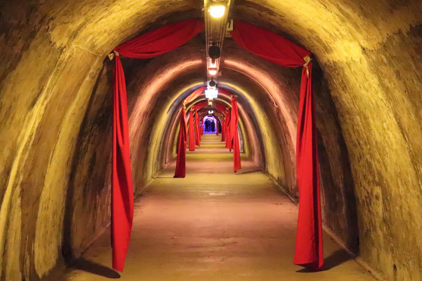 Canon EOS 200D (EOS Rebel SL2 / EOS Kiss X9) sample photo. Tunnel, under earth, christmas photography
