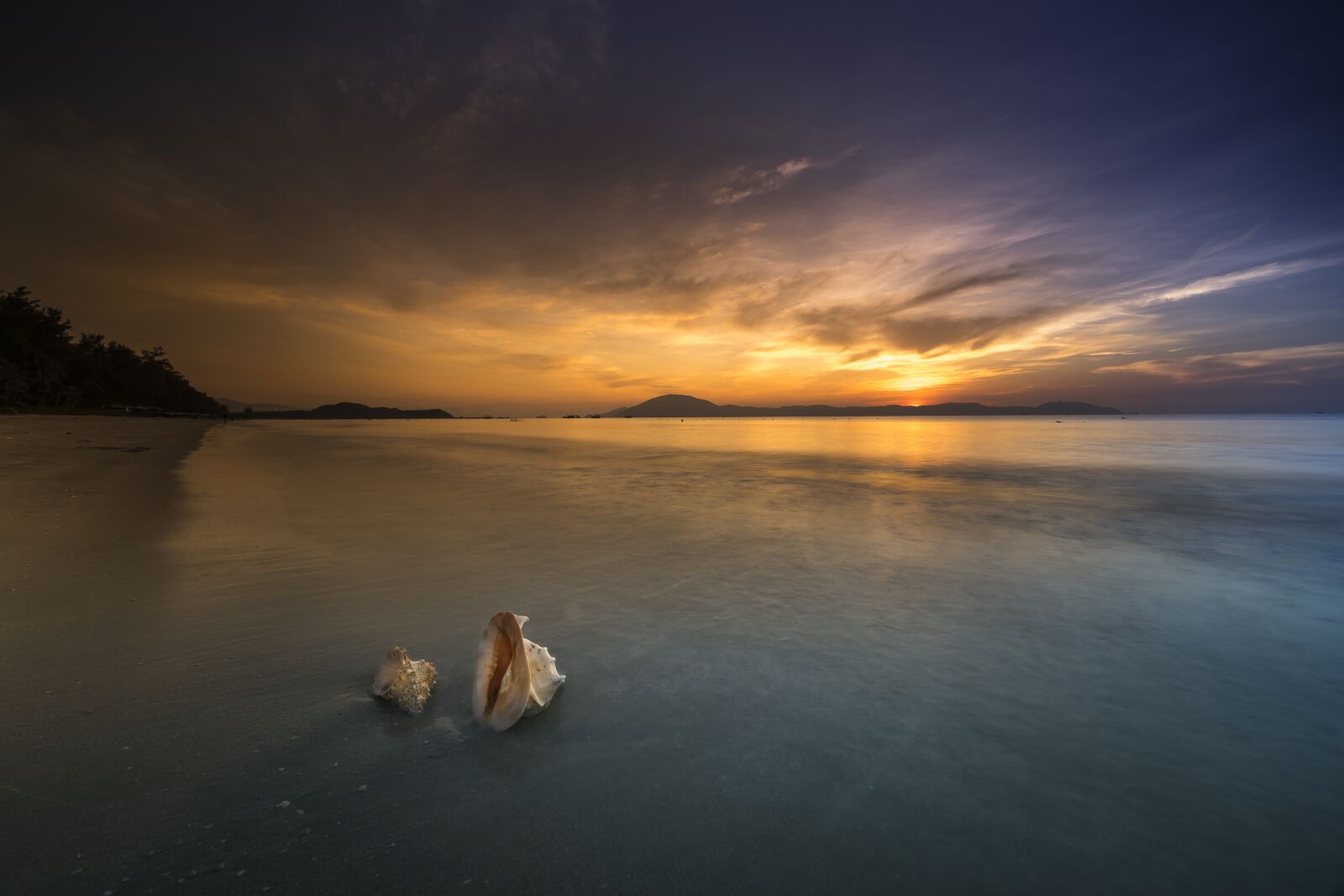 Voigtlander ULTRA WIDE-HELIAR 12mm F5.6 III sample photo. The beach, scalloped, animal photography