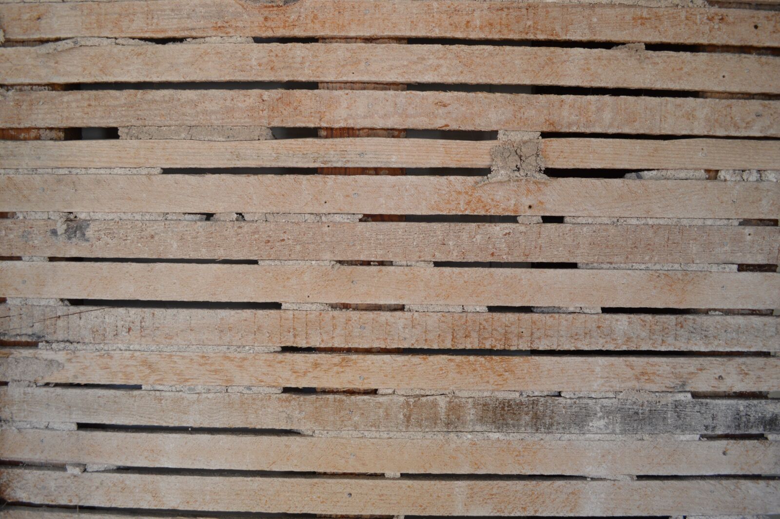 Nikon D3200 sample photo. Wood, lath, backdrop photography