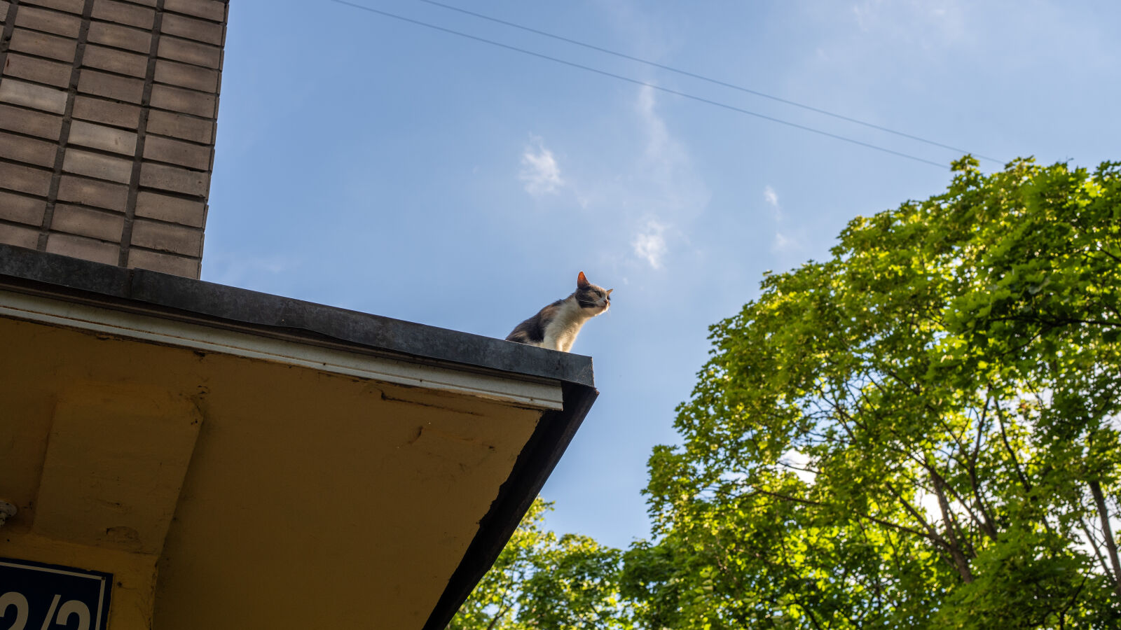 Nikon D750 sample photo