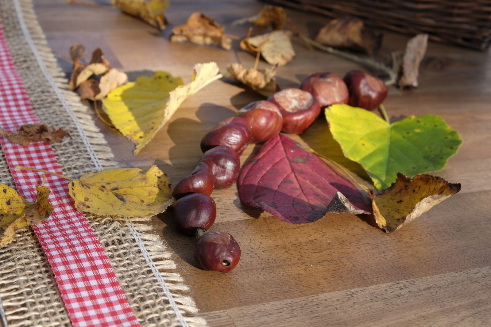 Fujifilm XF 18-55mm F2.8-4 R LM OIS sample photo. Chestnut, leaves, autumn photography