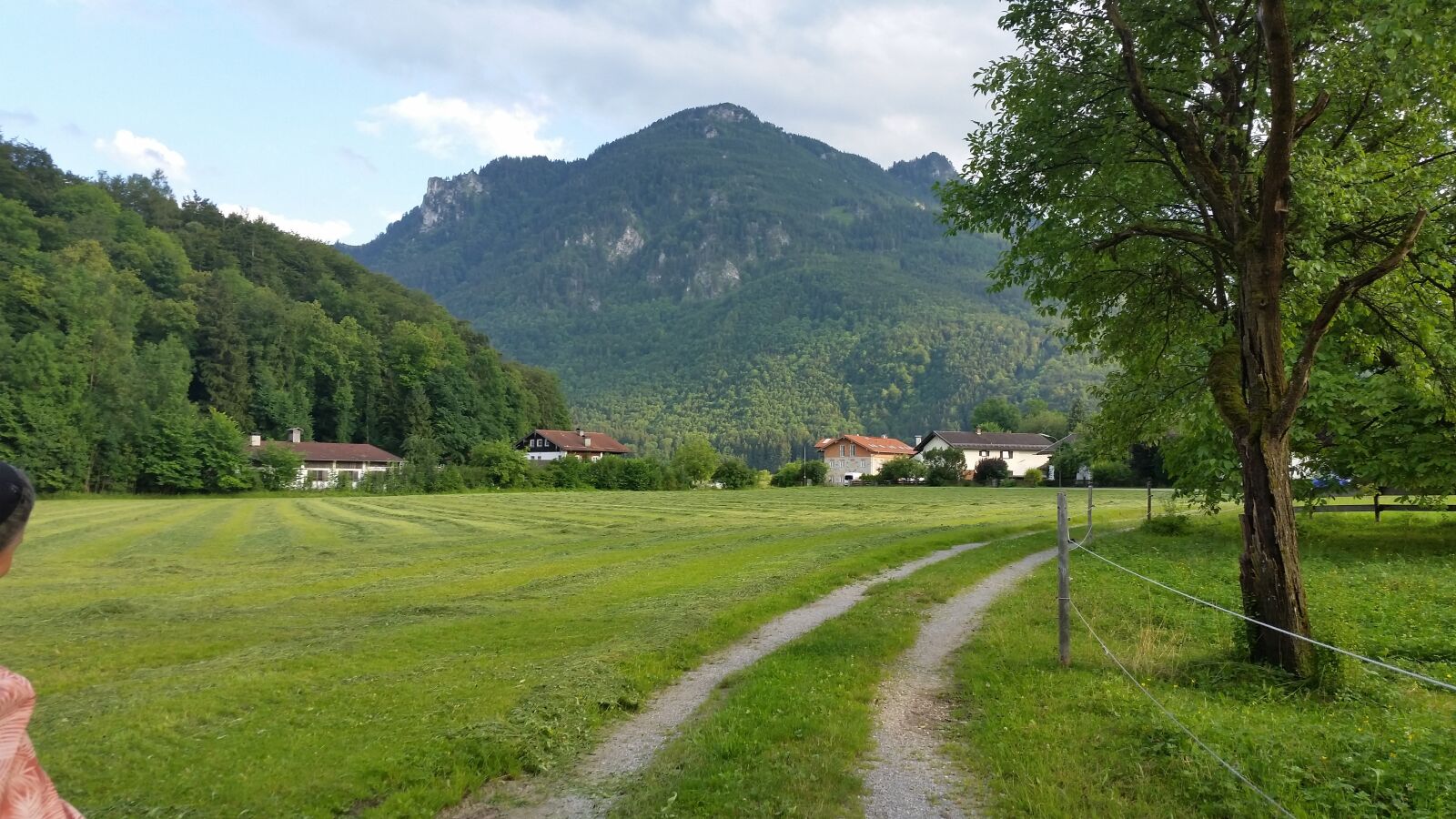 Samsung Galaxy S5 sample photo. Path, mountain, trail photography