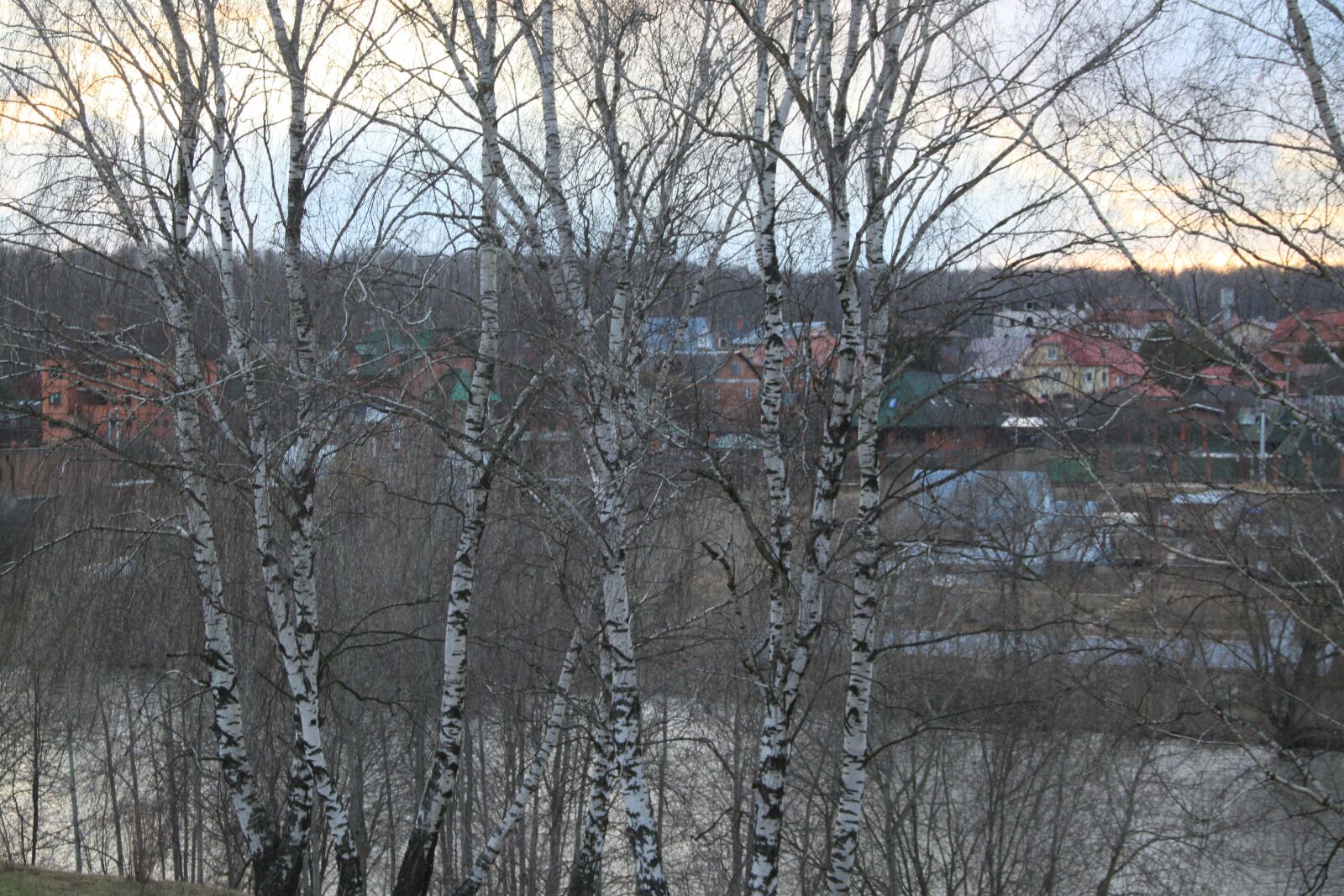 Canon EOS 500D (EOS Rebel T1i / EOS Kiss X3) sample photo. Trees, lake, river photography
